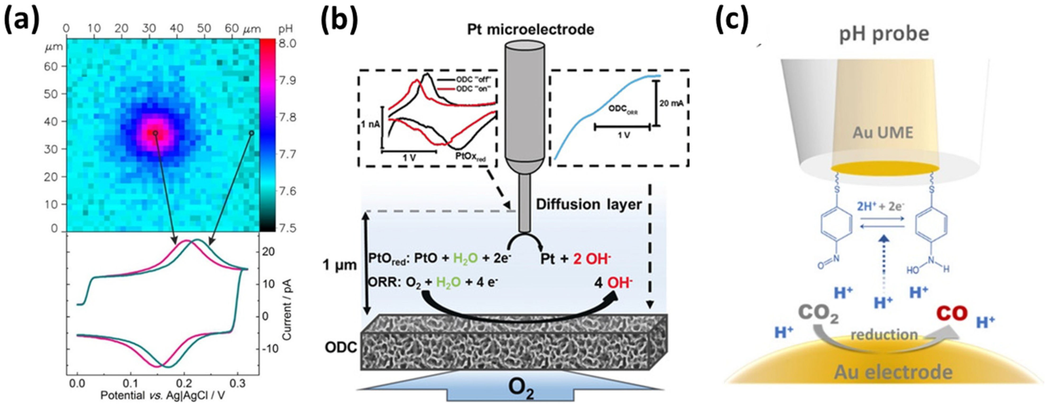 Micromachines 13 02143 g008