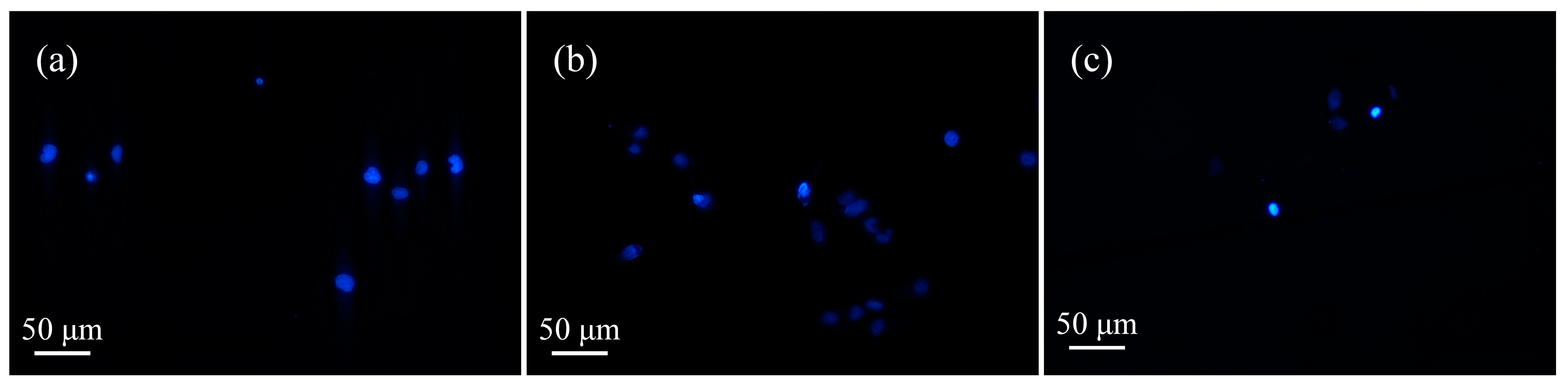 Micromachines 13 02145 g007