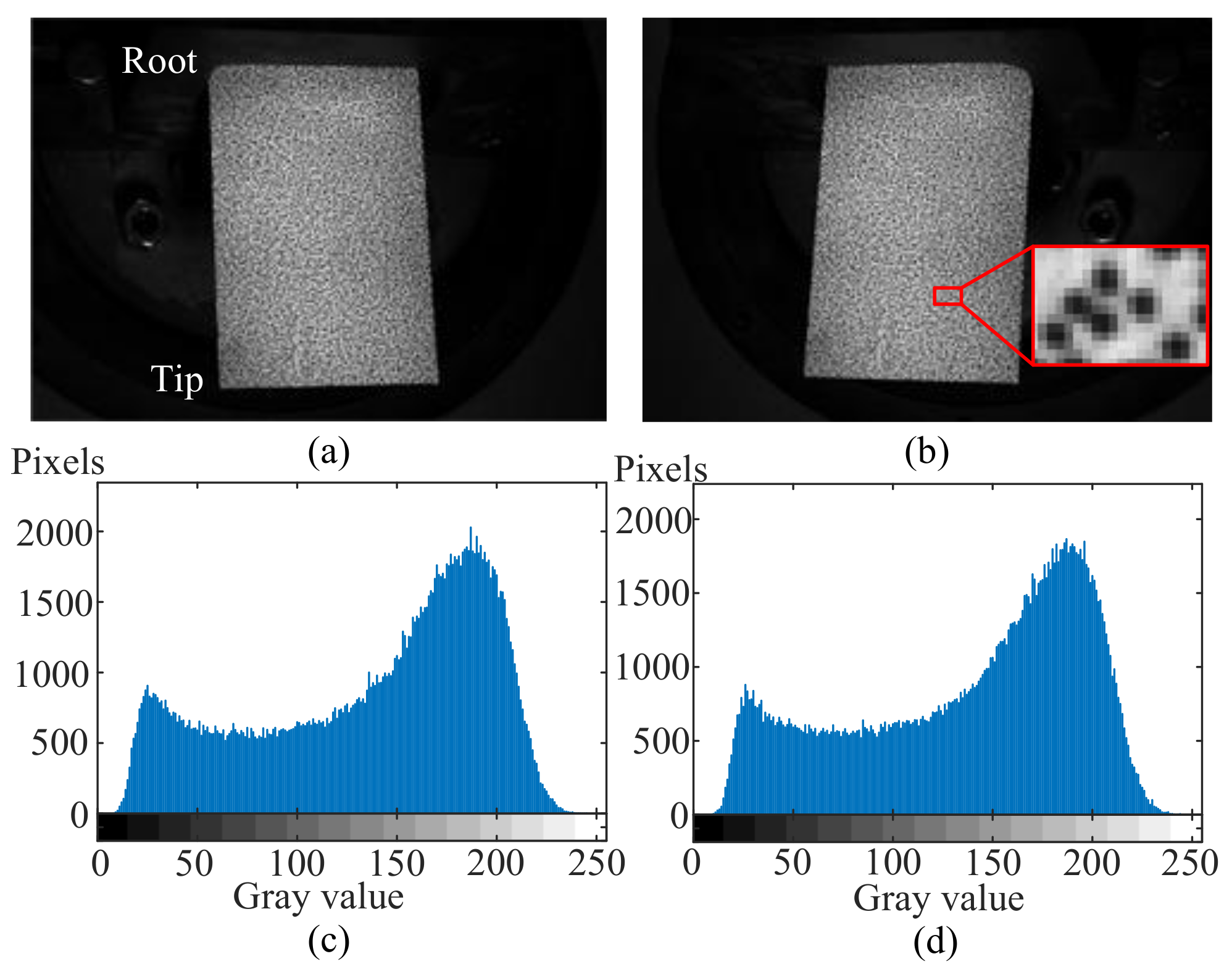 Micromachines 13 02156 g006