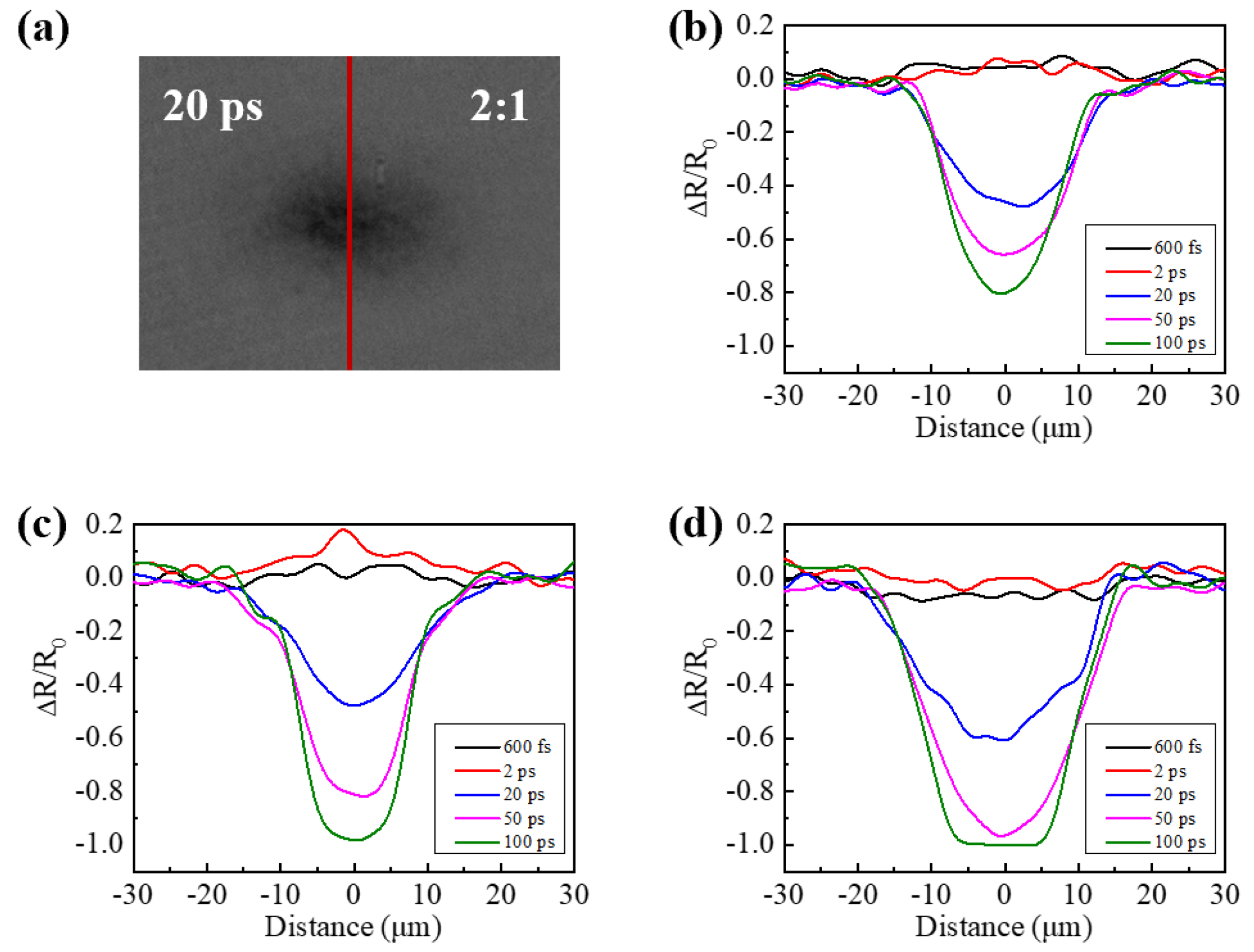 Micromachines 13 02168 g003
