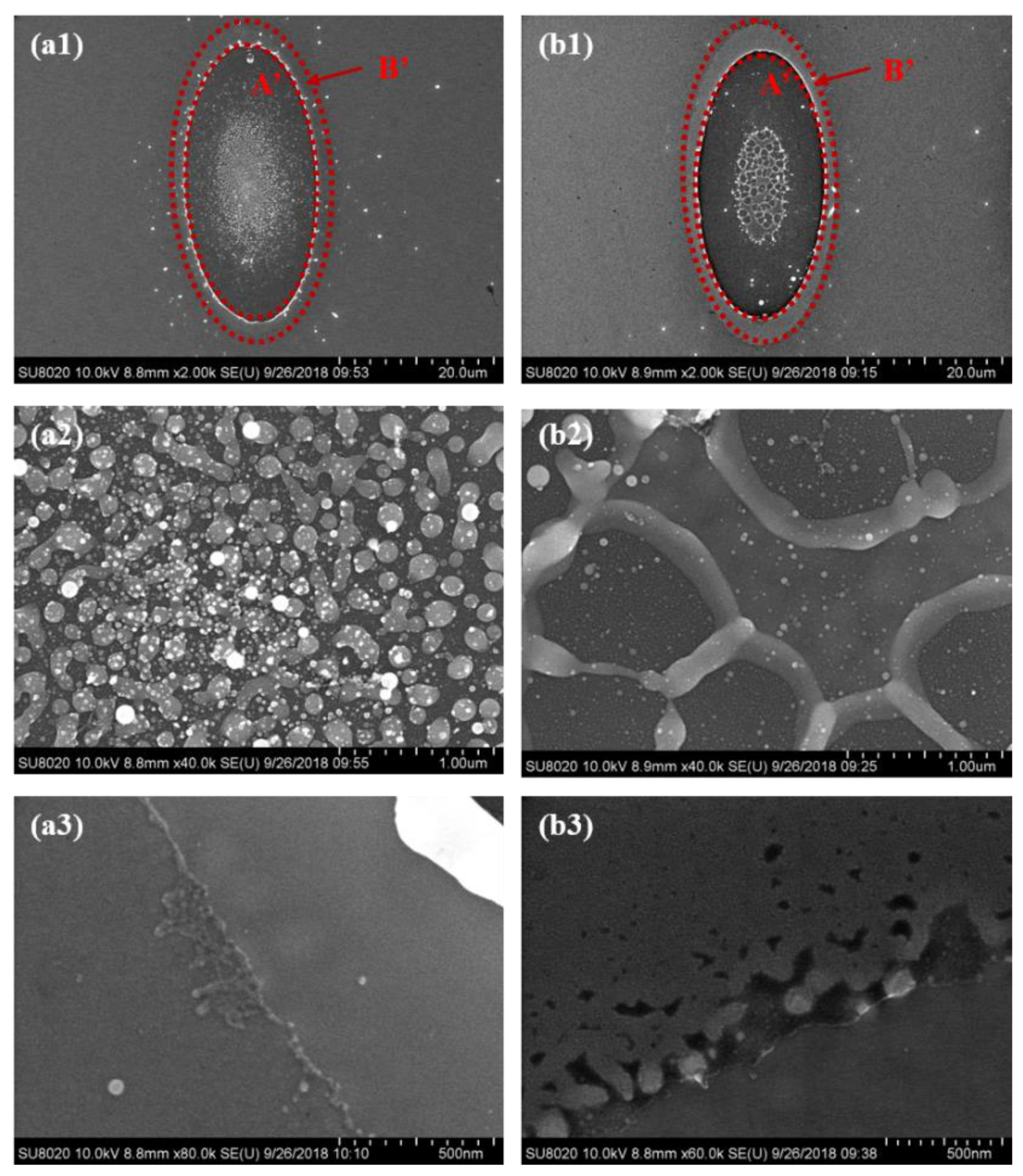 Micromachines 13 02168 g005