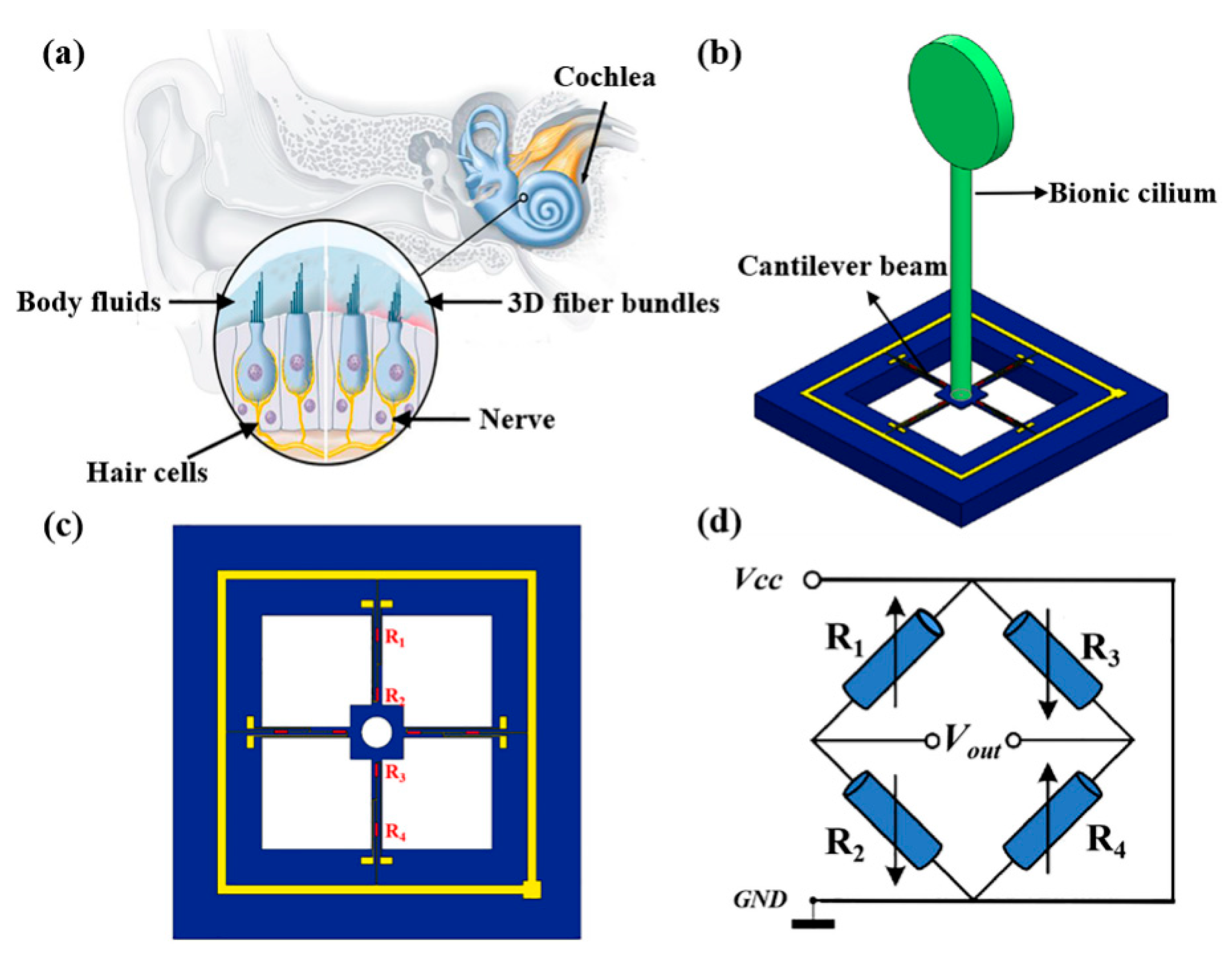 Micromachines 13 02174 g001