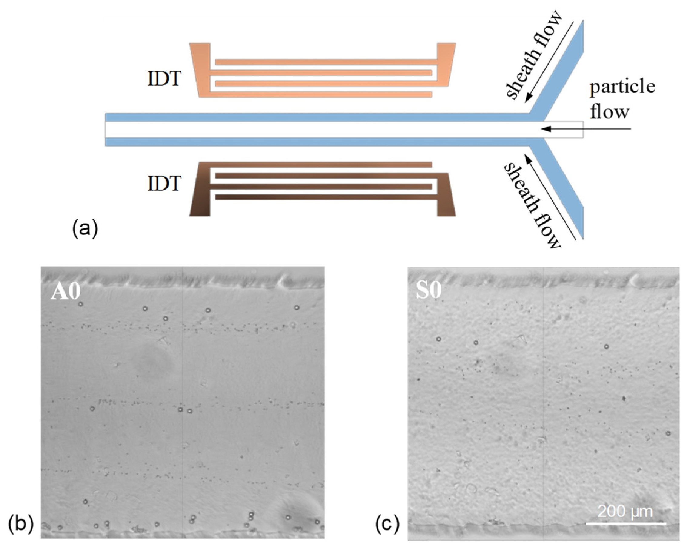 Micromachines 13 02175 g010