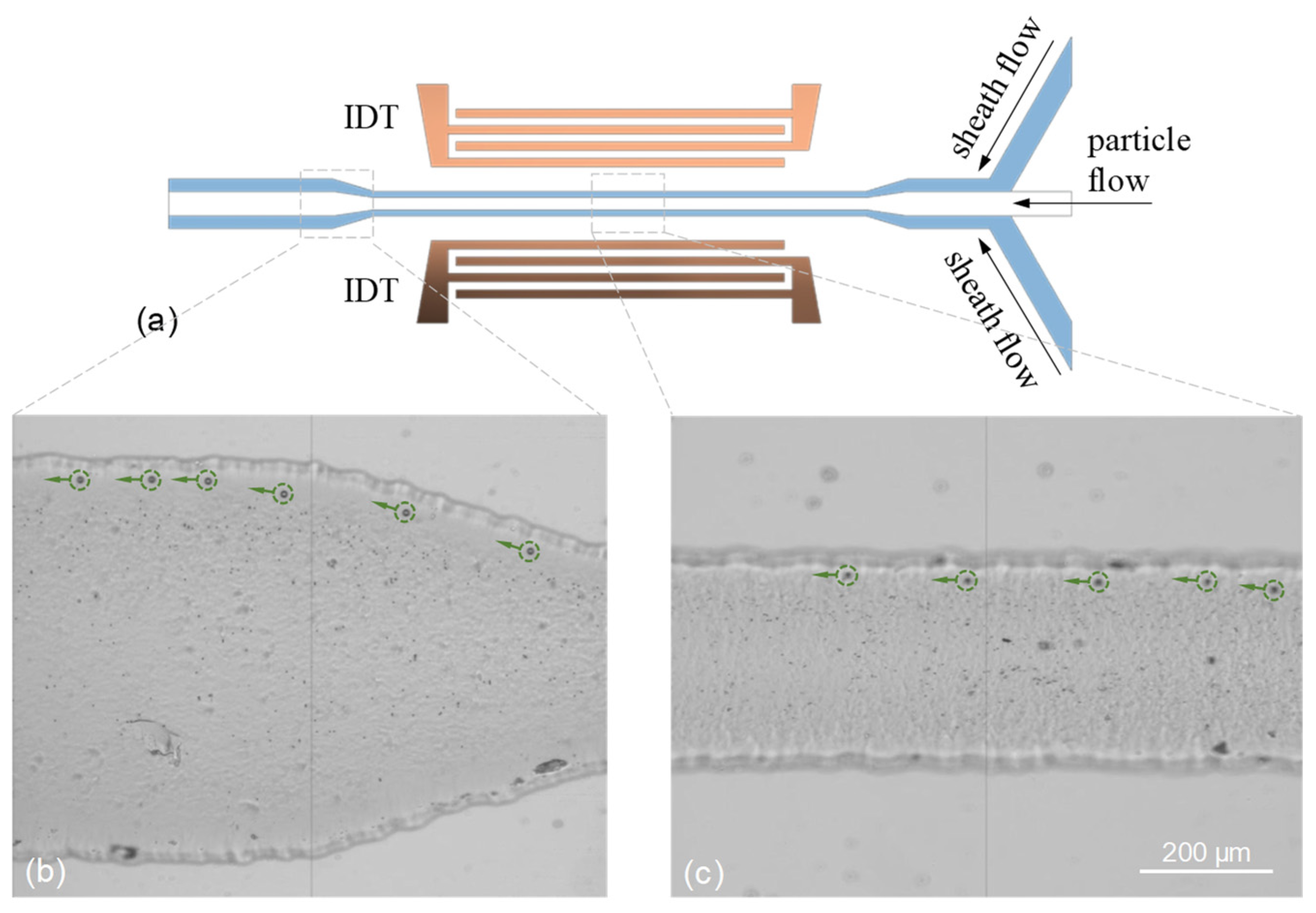 Micromachines 13 02175 g011