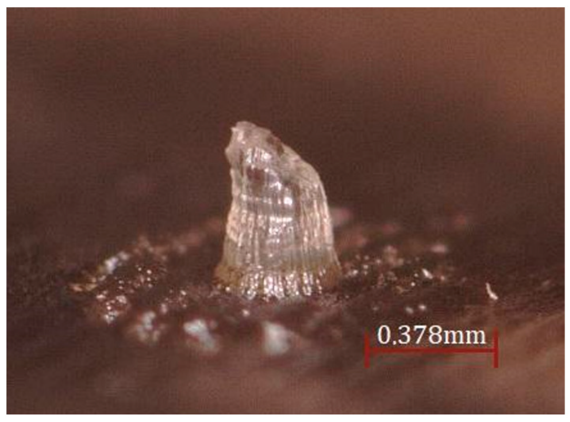 Micromachines 13 02190 g006