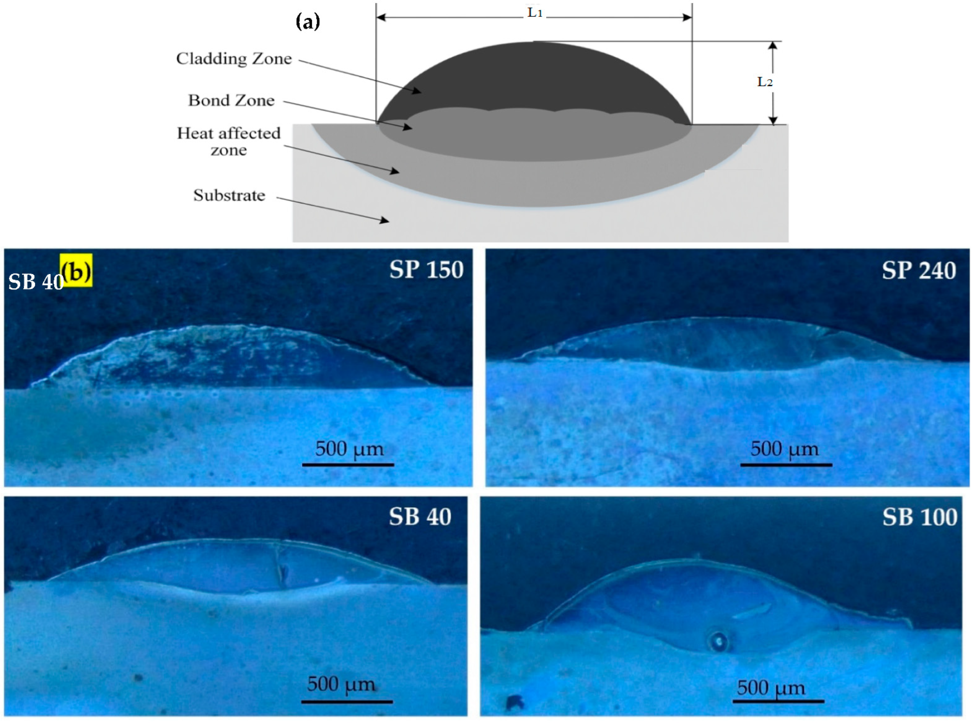Micromachines 13 02191 g002