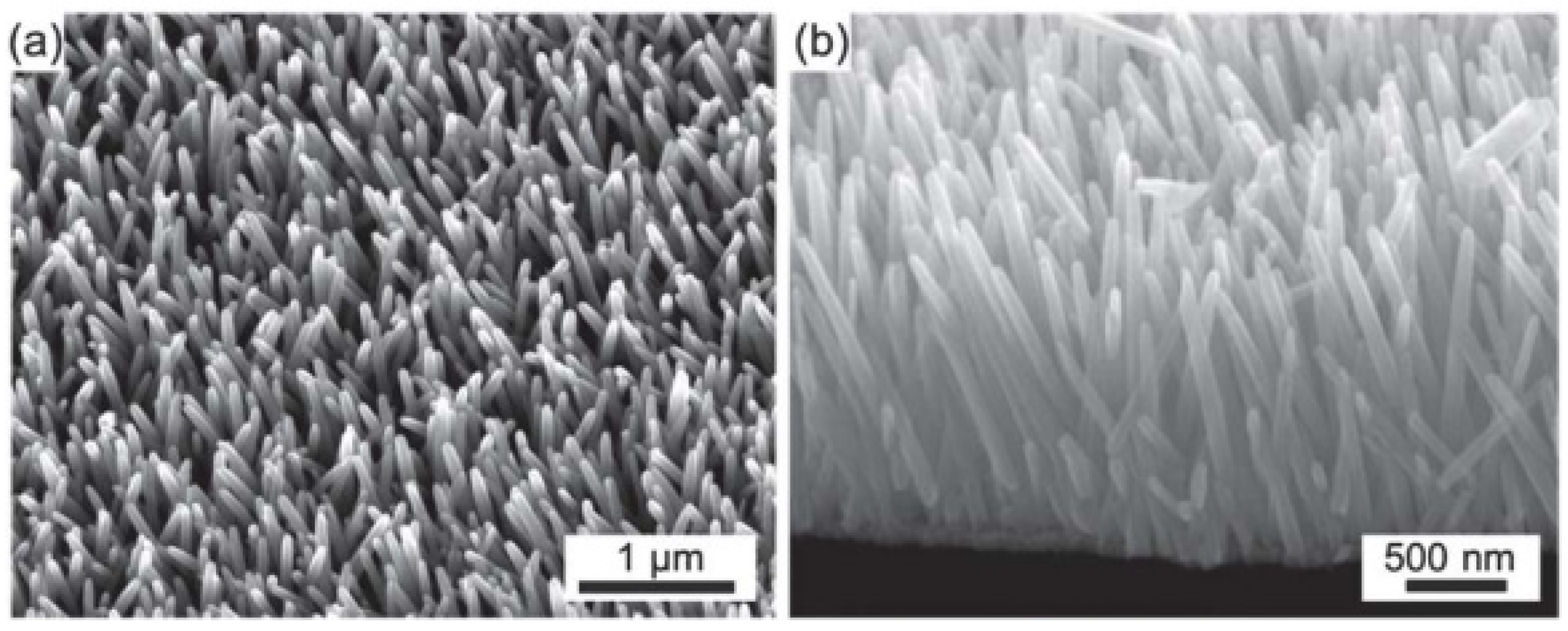 Micromachines 13 02200 g004