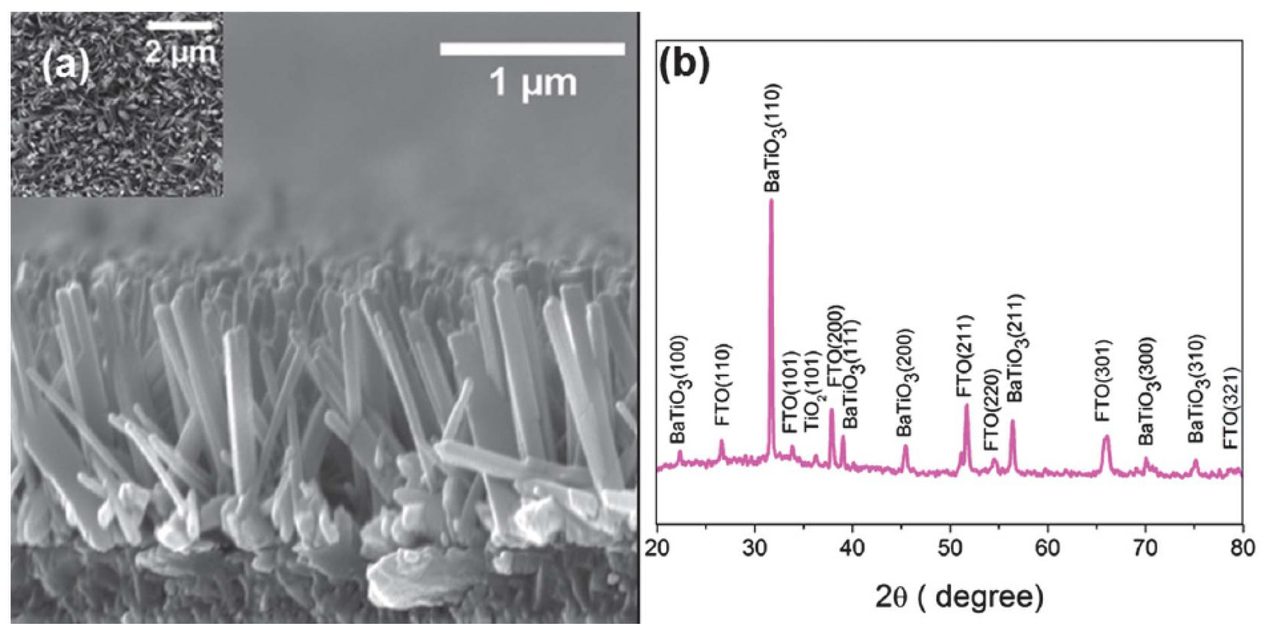 Micromachines 13 02200 g005