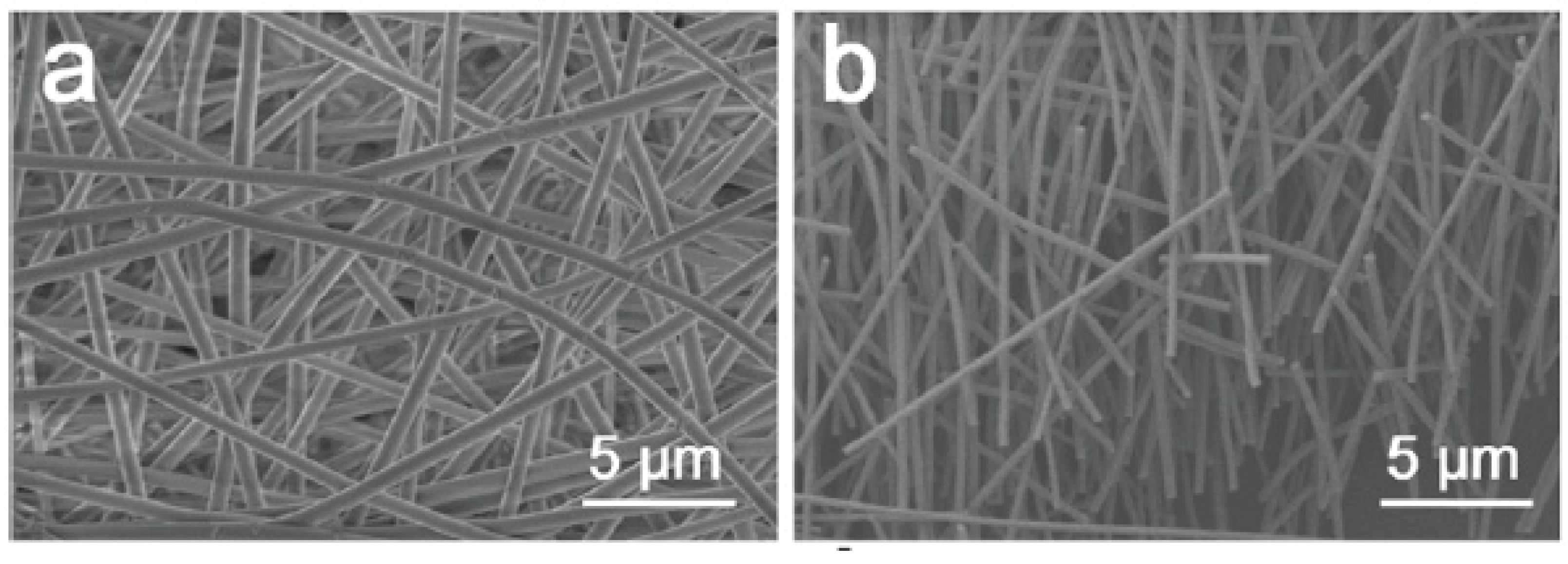 Micromachines 13 02200 g006