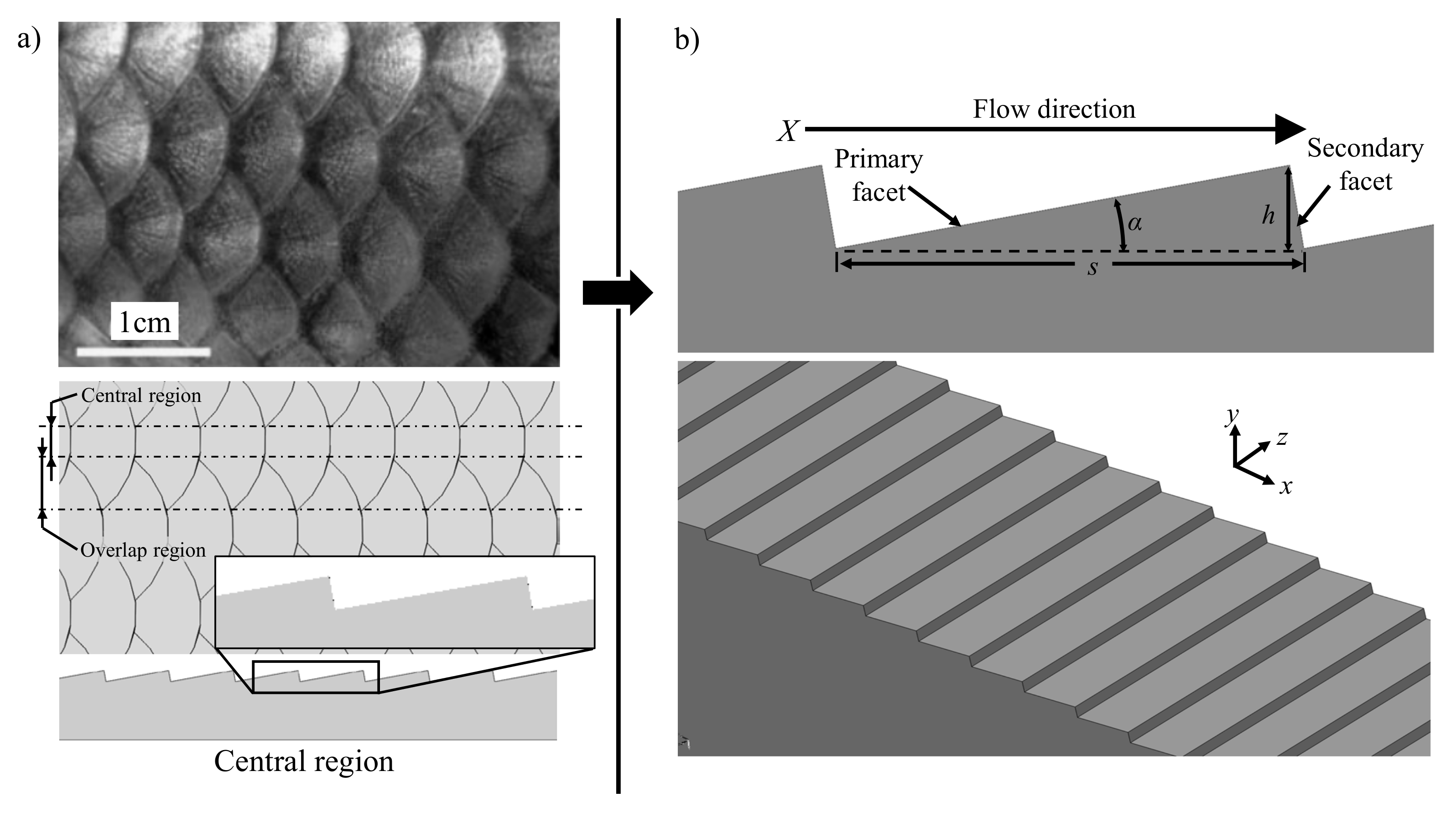 Micromachines 13 02208 g001