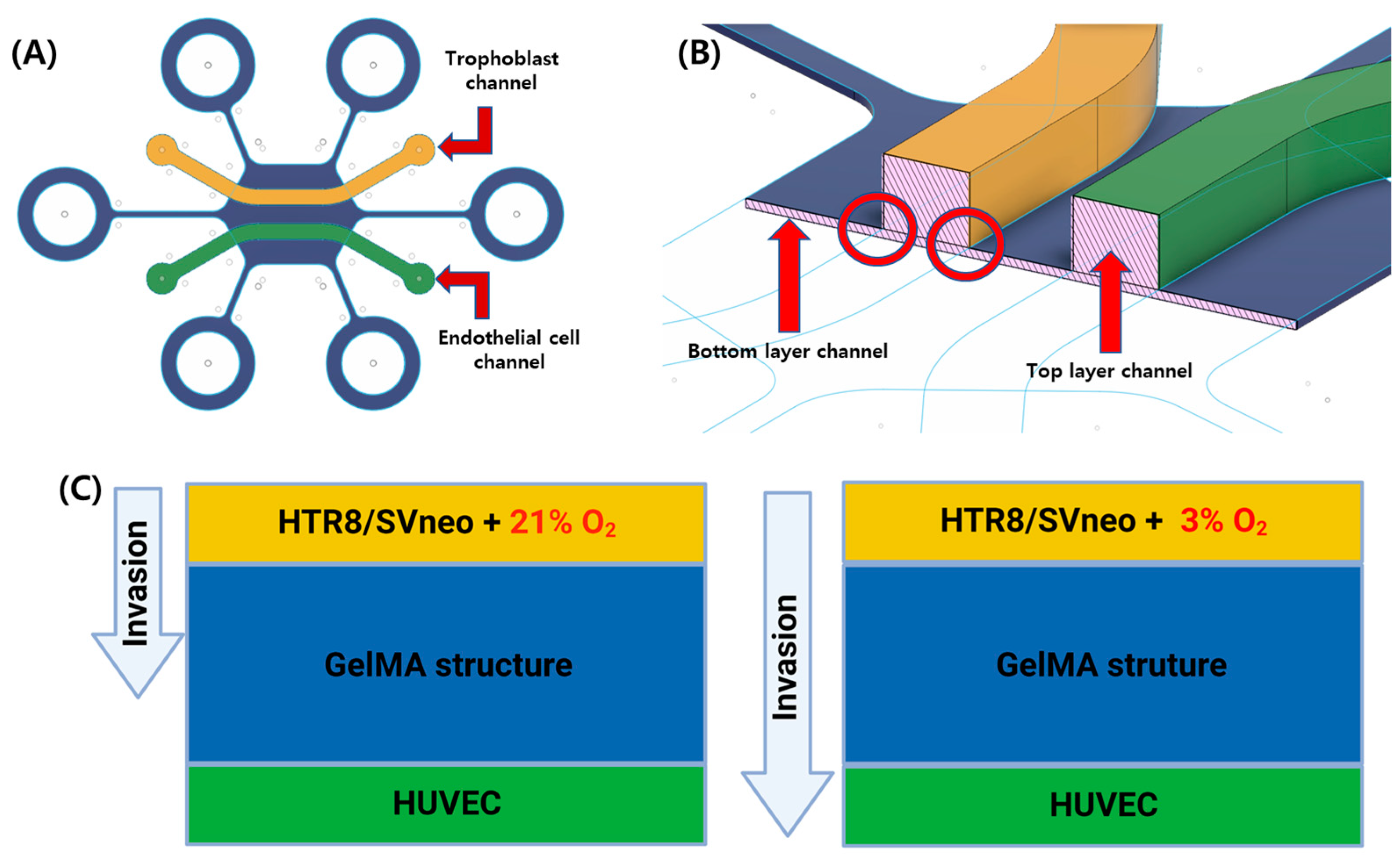 Micromachines 13 02216 g001