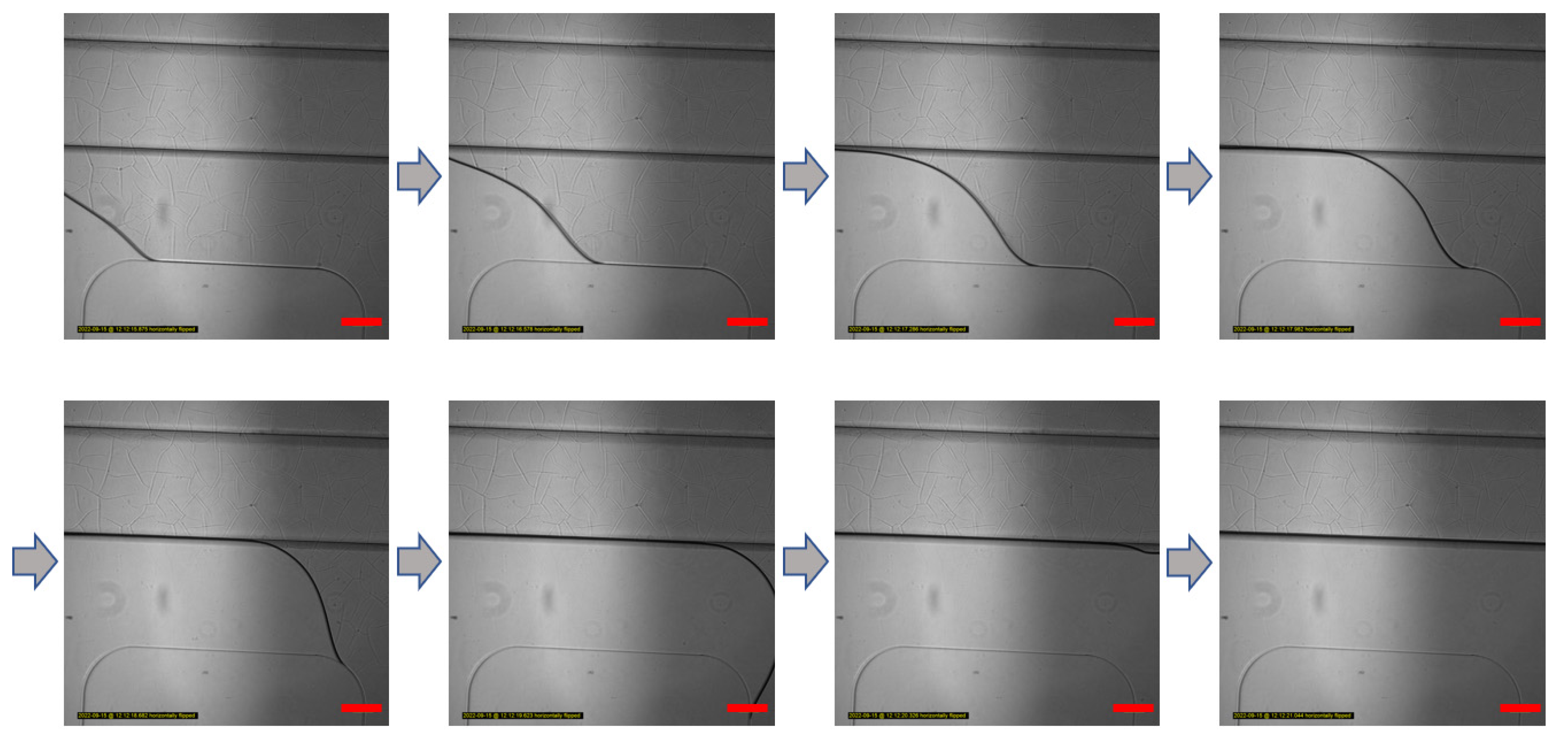 Micromachines 13 02216 g002