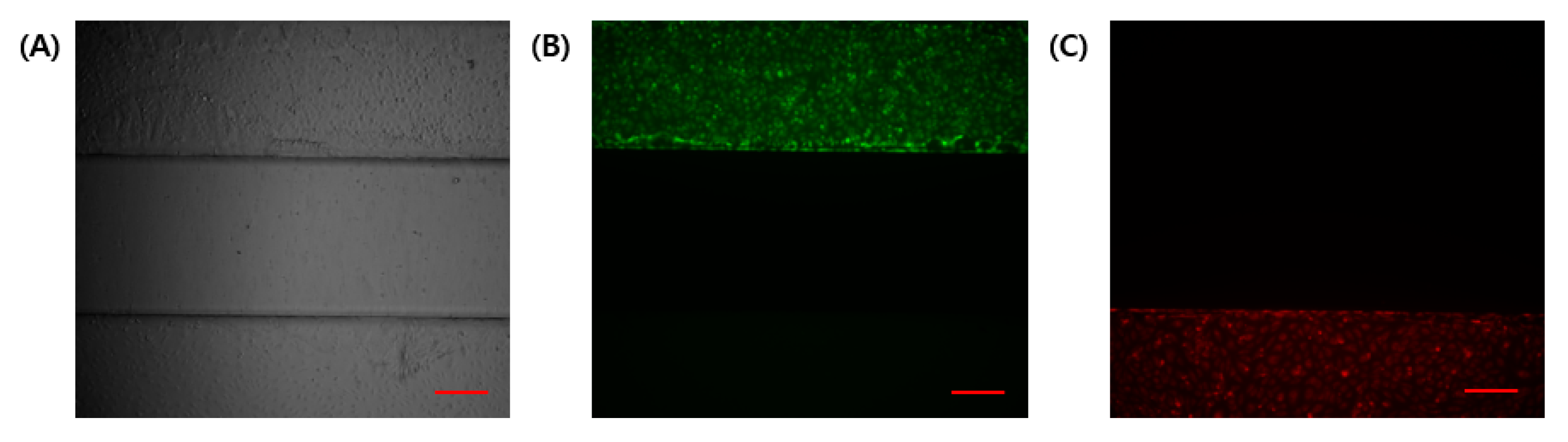 Micromachines 13 02216 g003