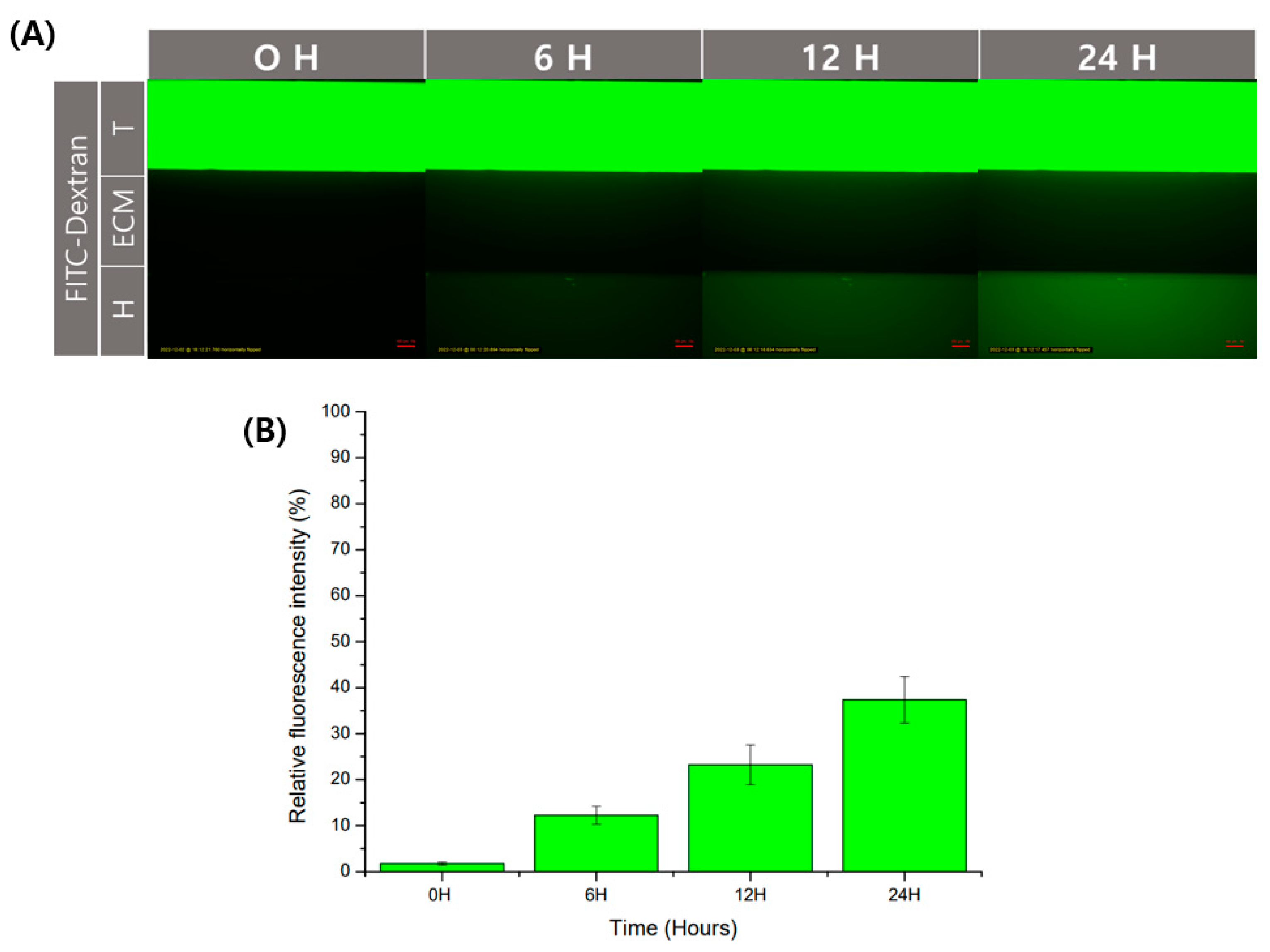 Micromachines 13 02216 g004