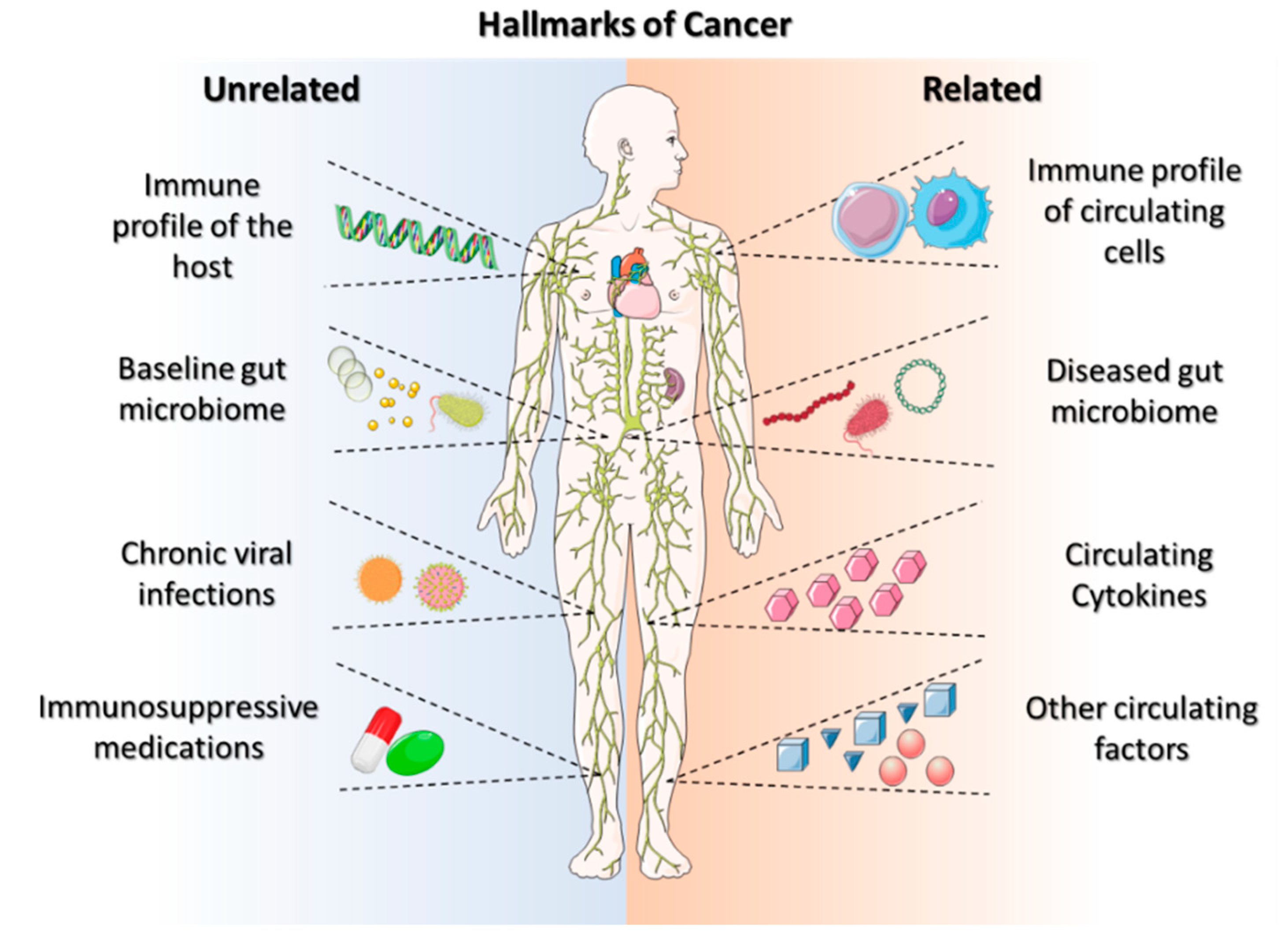 Micromachines 13 02217 g001
