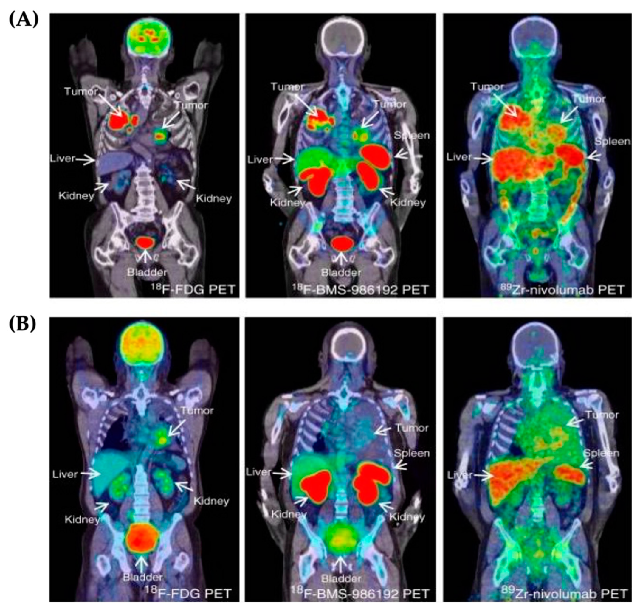 Micromachines 13 02217 g008