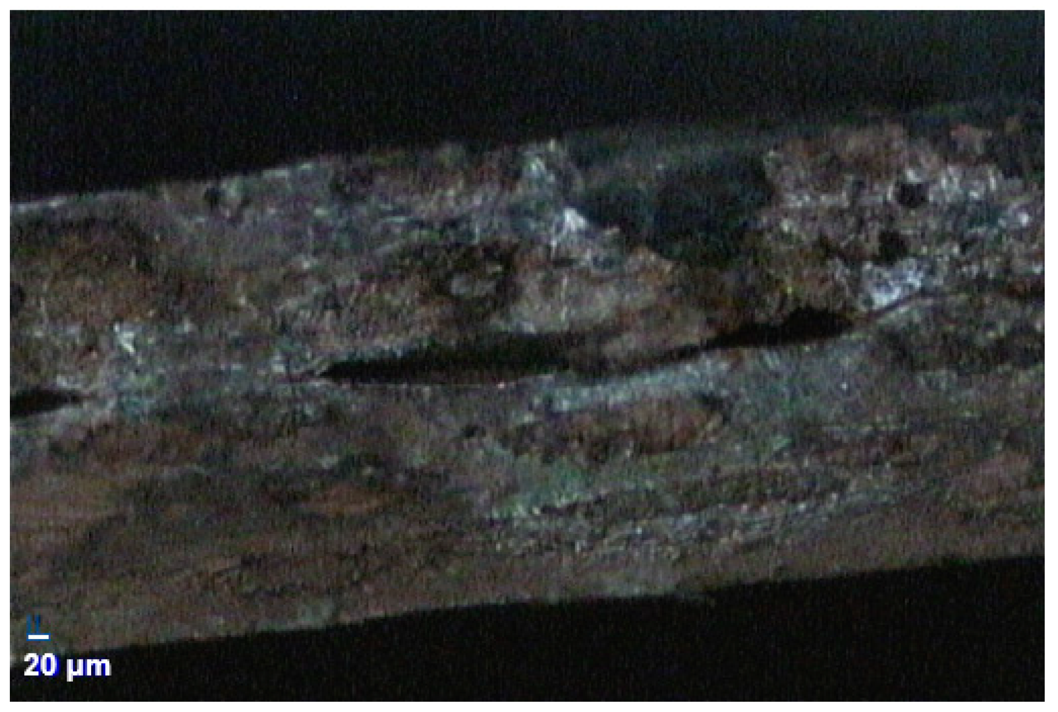 Micromachines 13 02218 g010