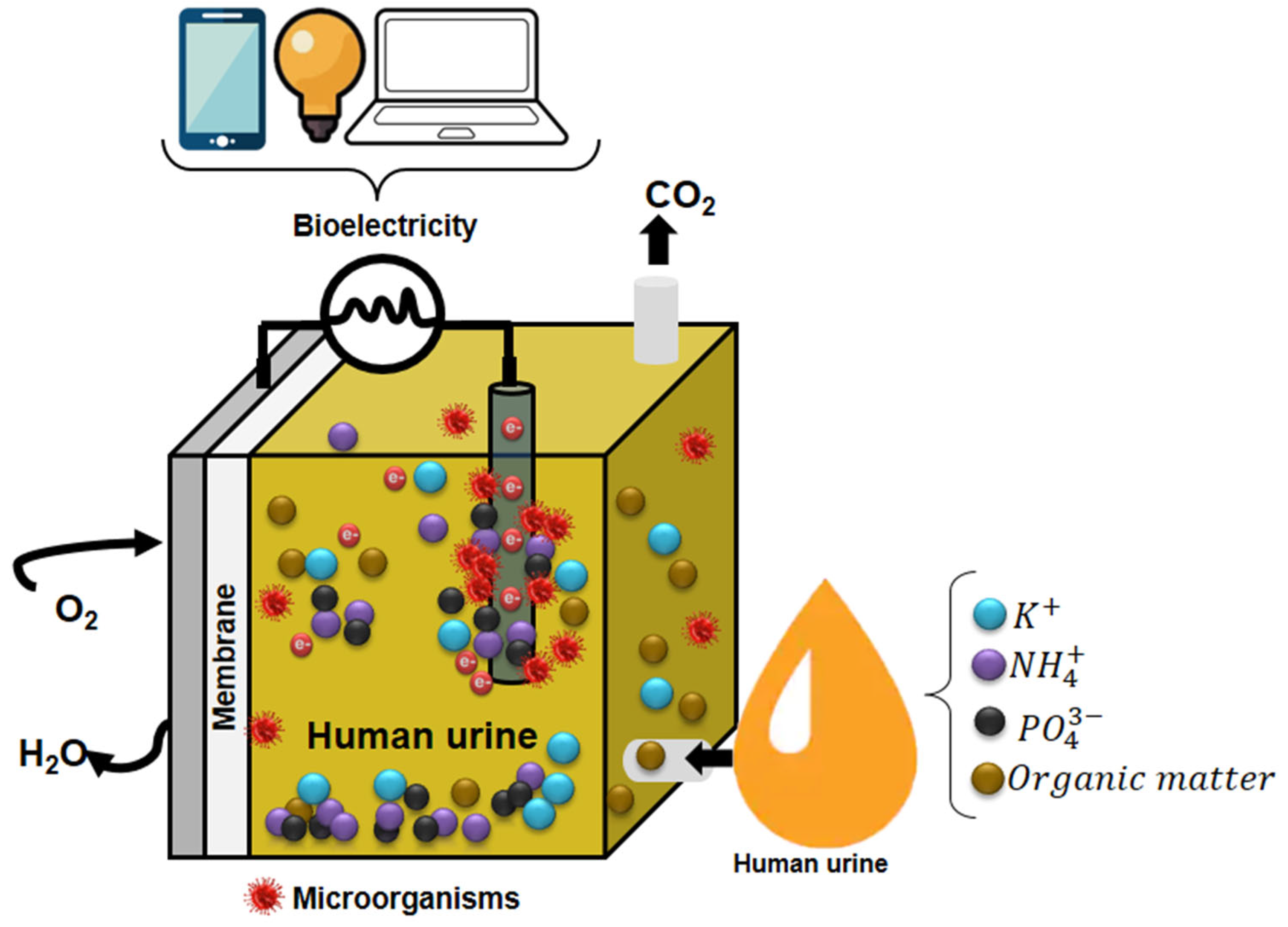 Micromachines 13 02239 g006