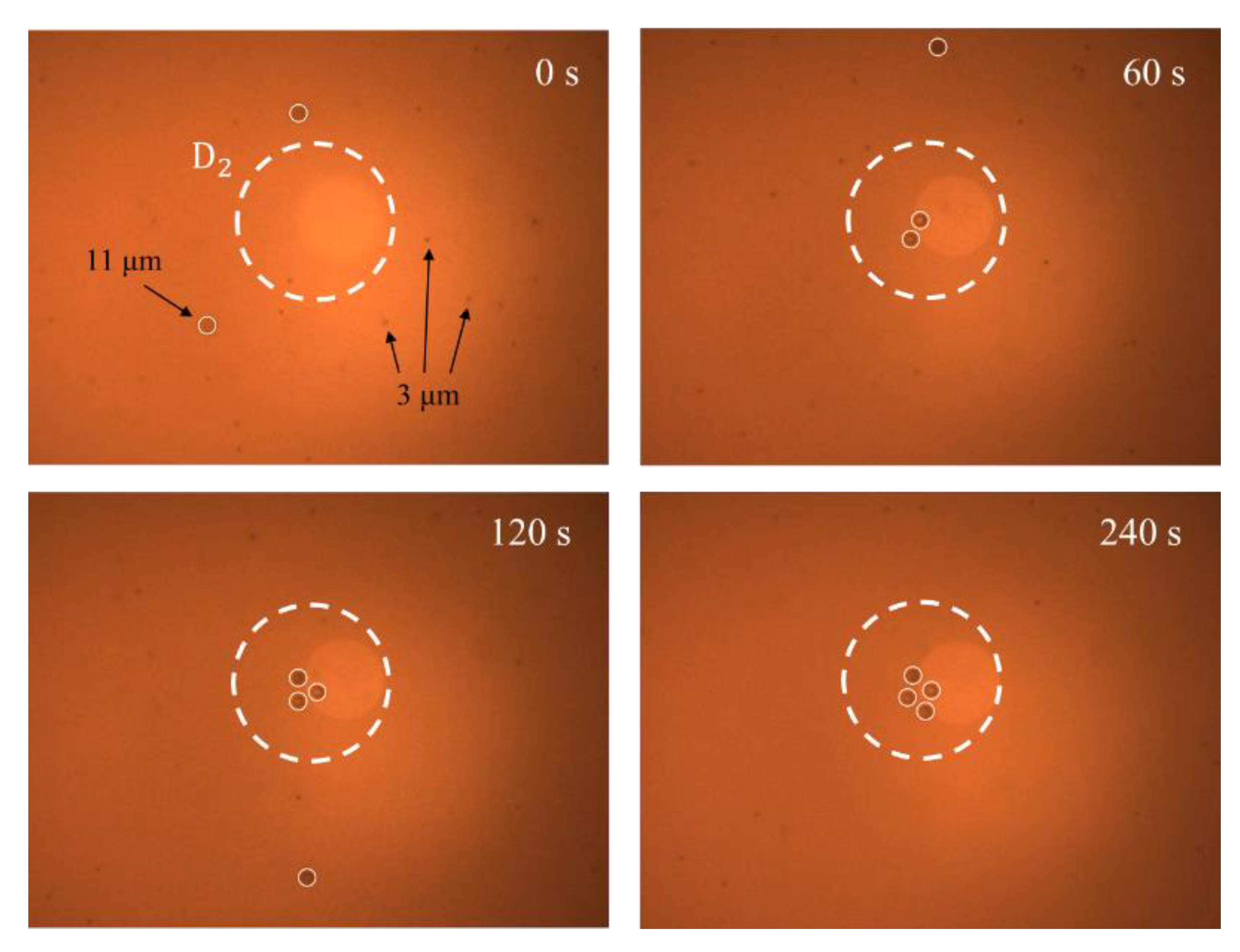 Micromachines 13 02245 g008