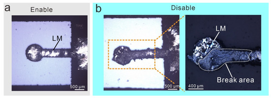 Micromachines 13 02255 g0a4