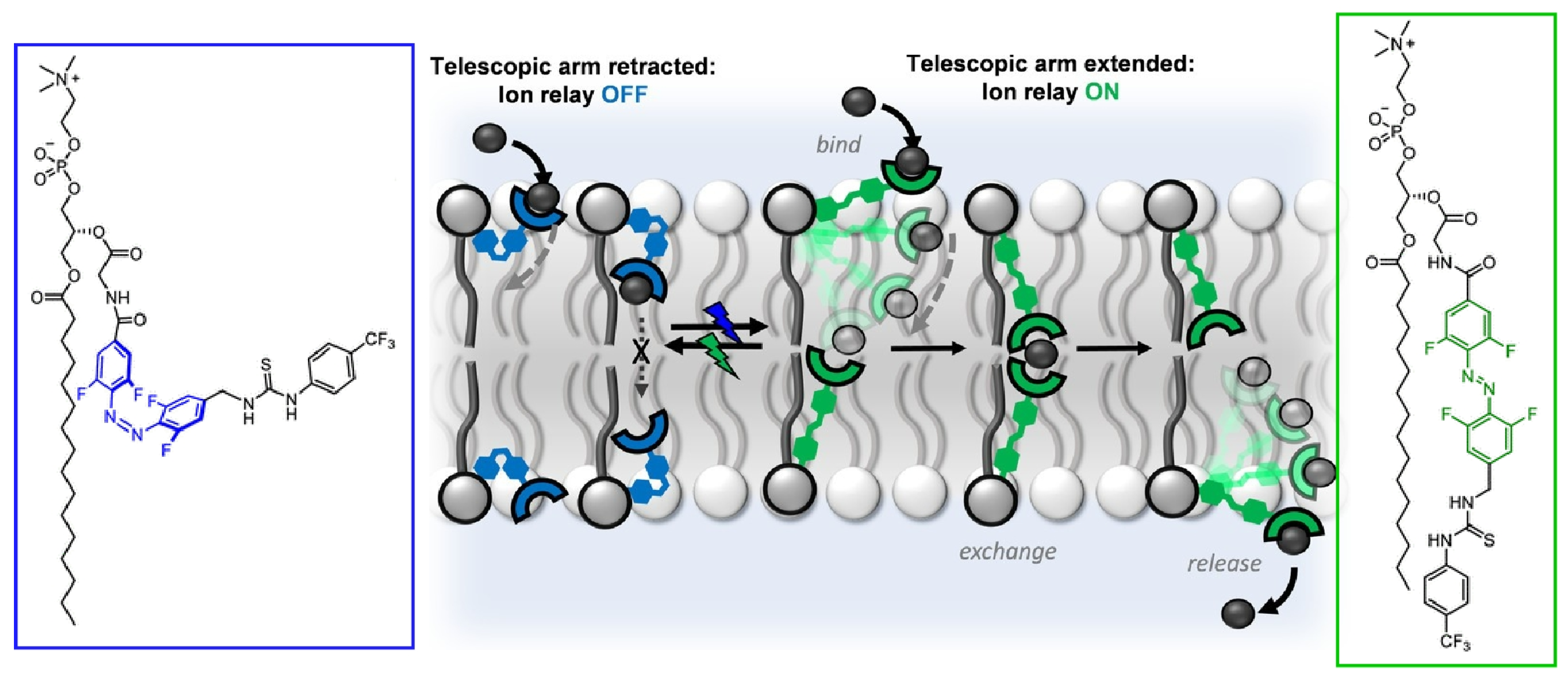 Micromachines 14 00025 g009