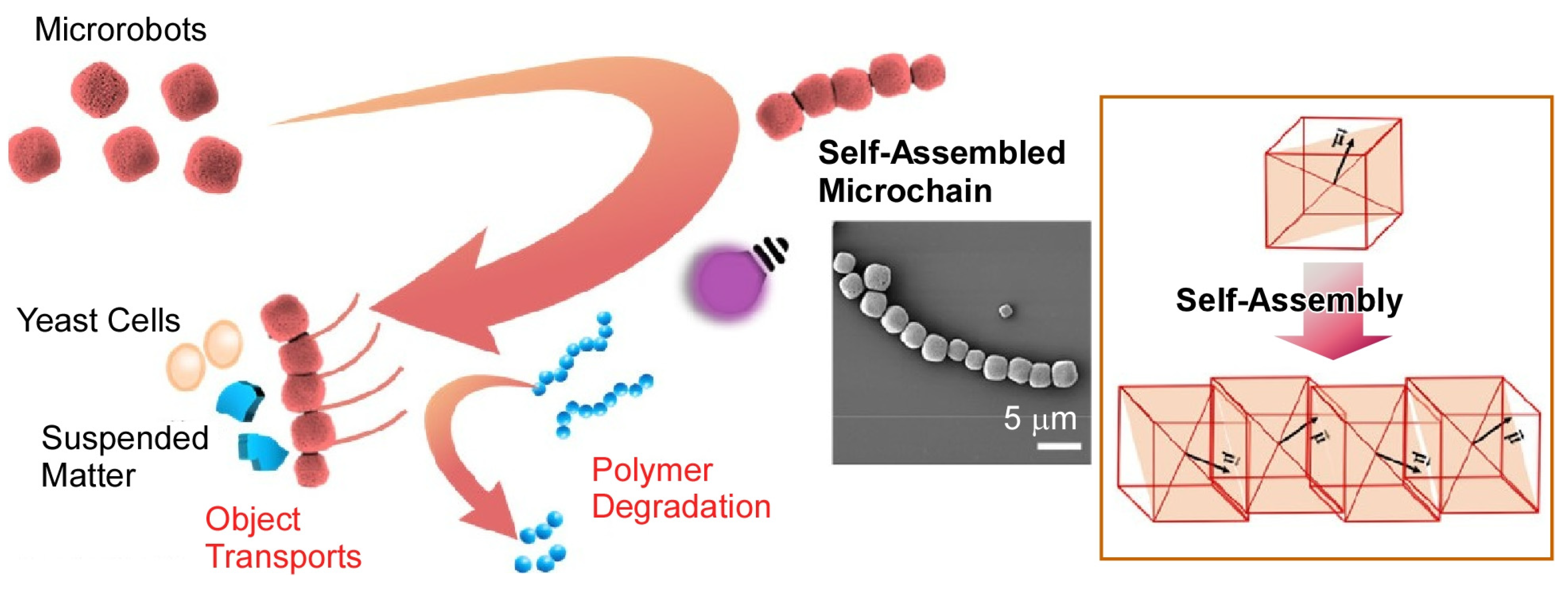 Micromachines 14 00025 g016