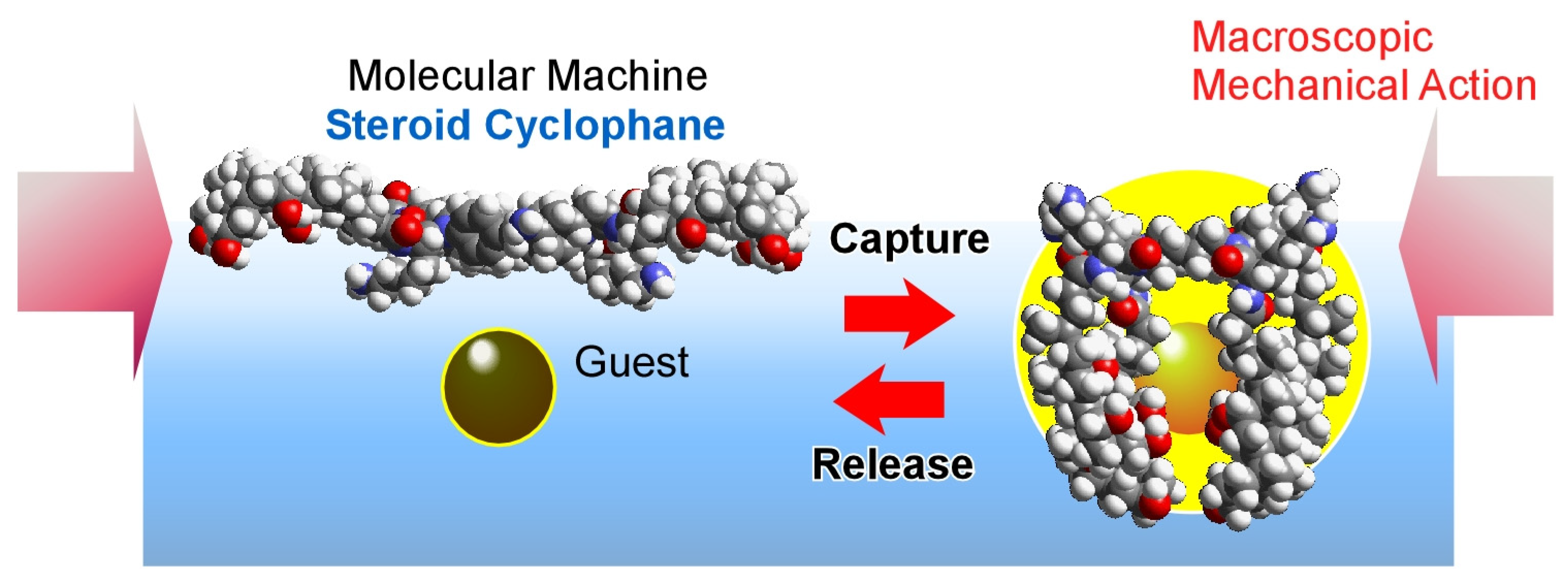 Micromachines 14 00025 g018