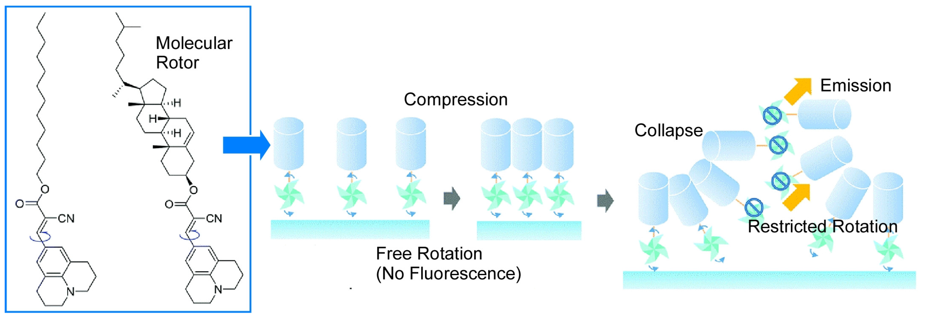 Micromachines 14 00025 g021