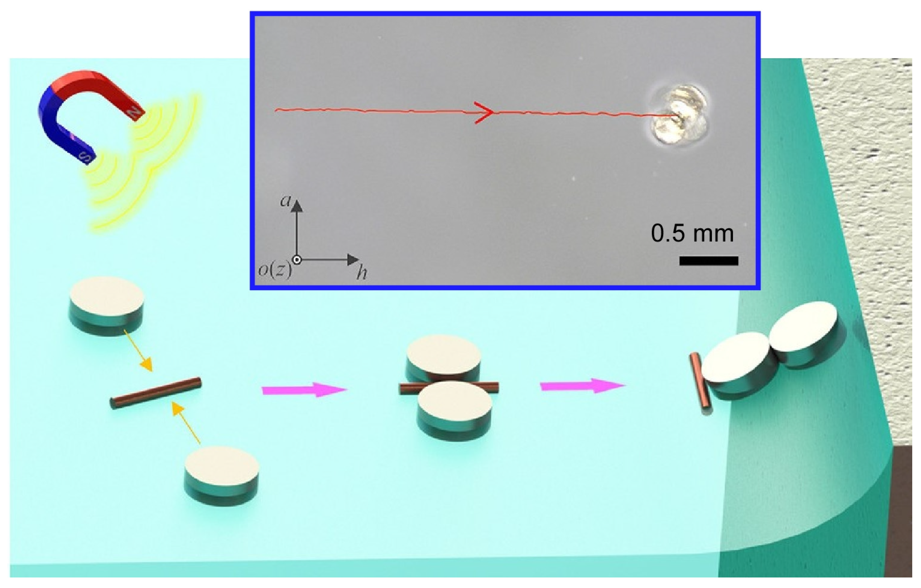 Micromachines 14 00025 g027