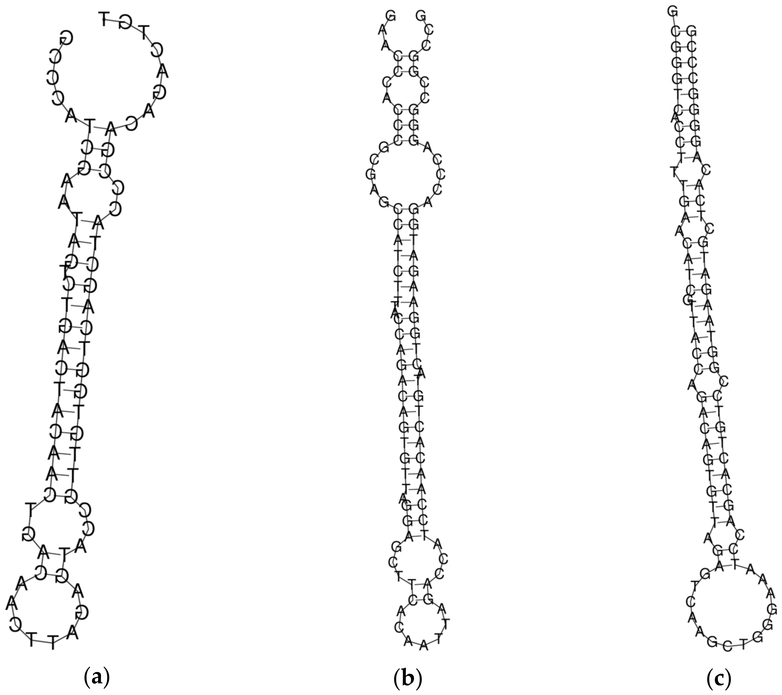 Micromachines 14 00070 g001 Micromachines 14 00070 g001