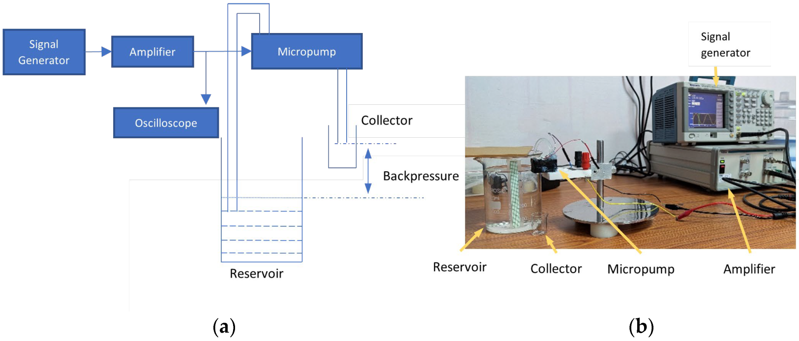 Micromachines 14 00071 g011