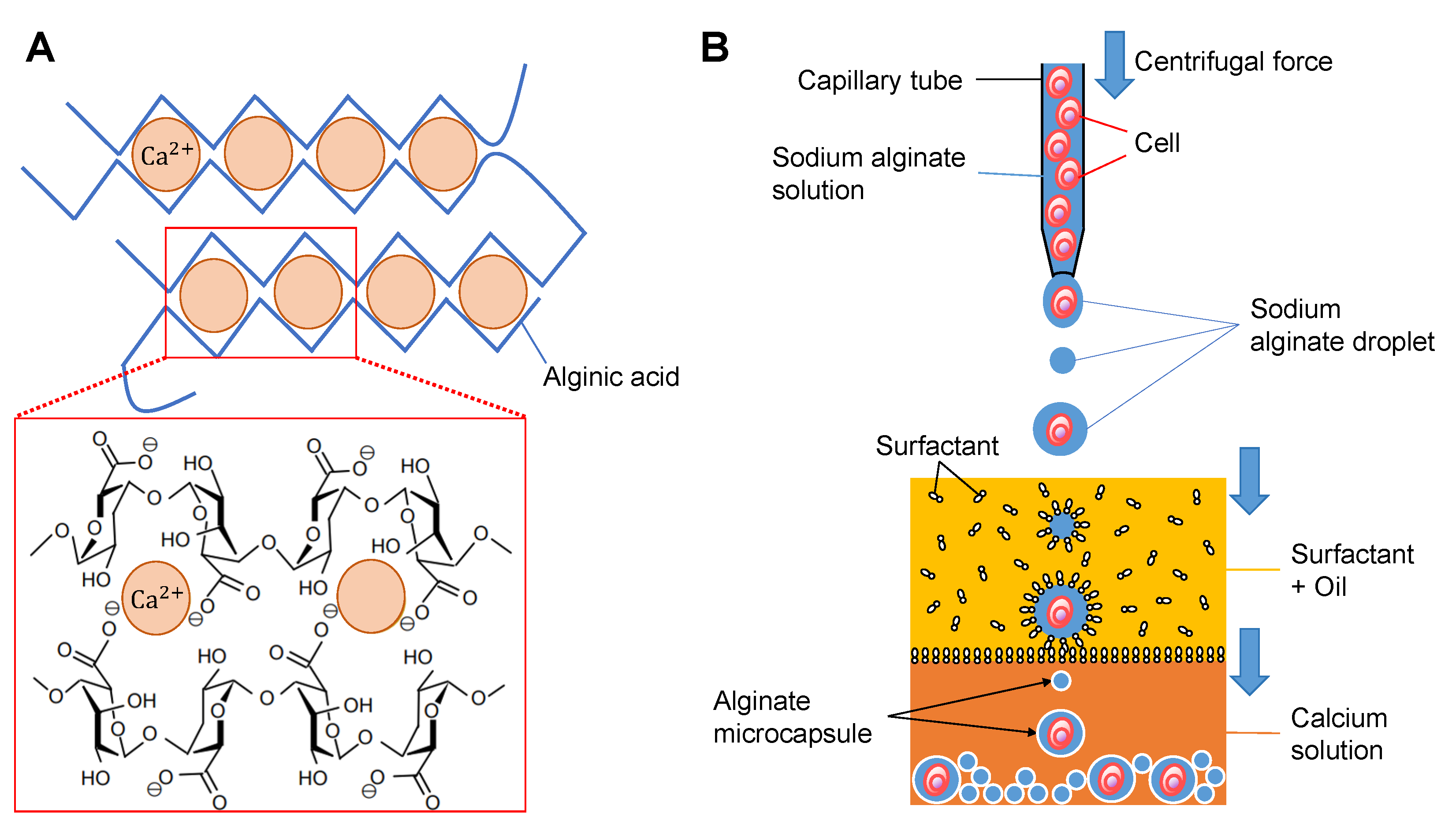 Micromachines 14 00072 g001