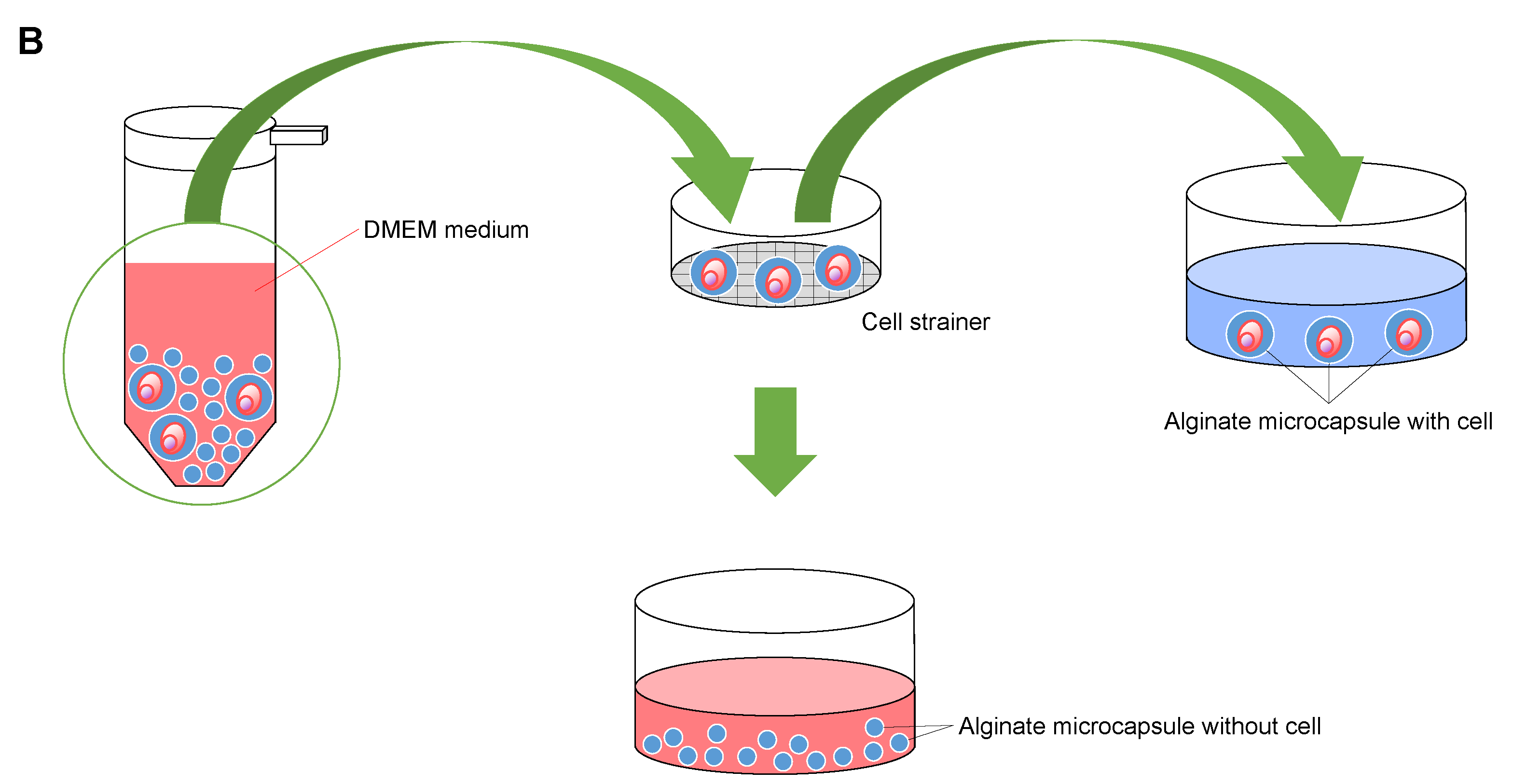 Micromachines 14 00072 g002b