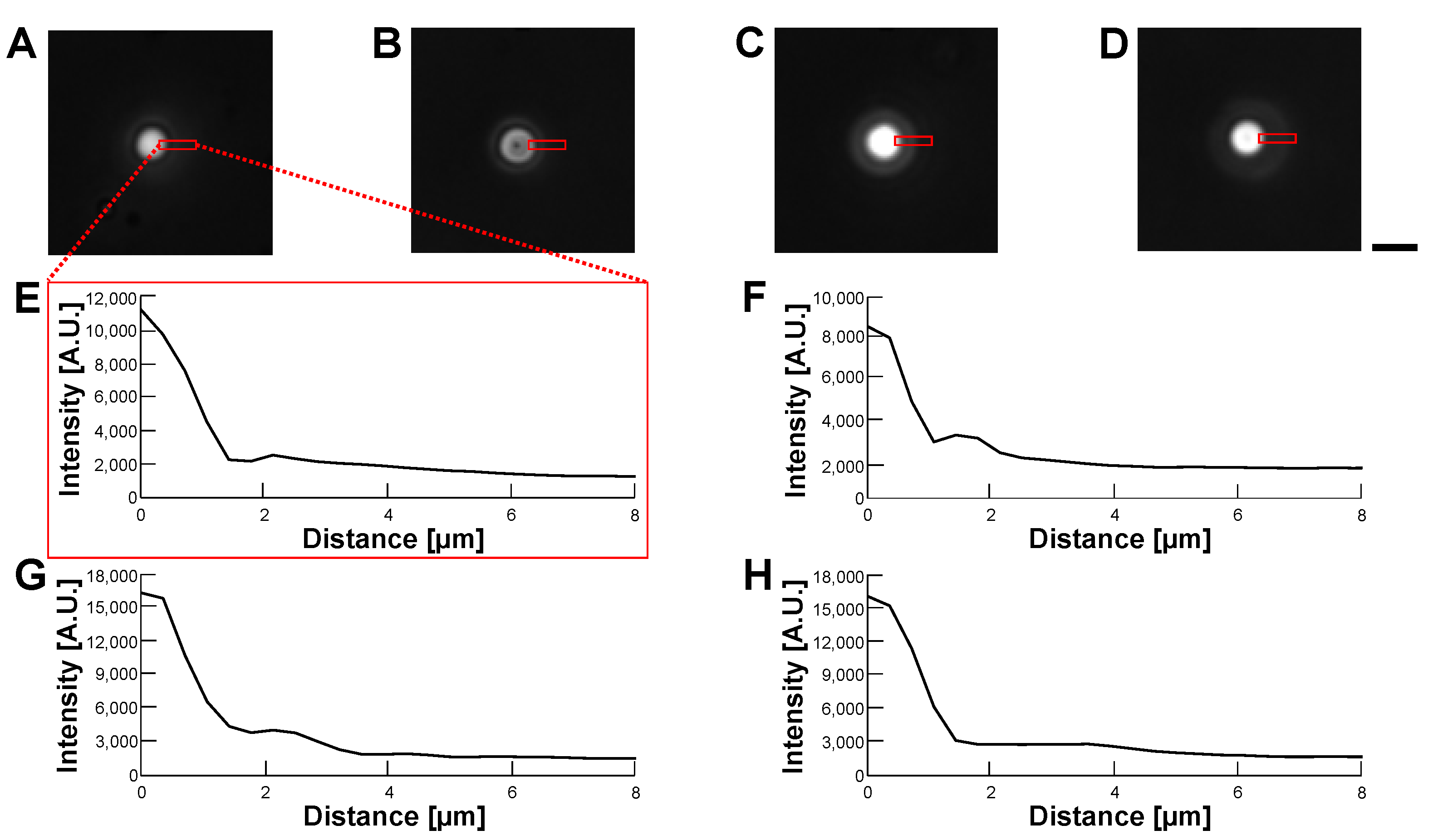 Micromachines 14 00072 g011