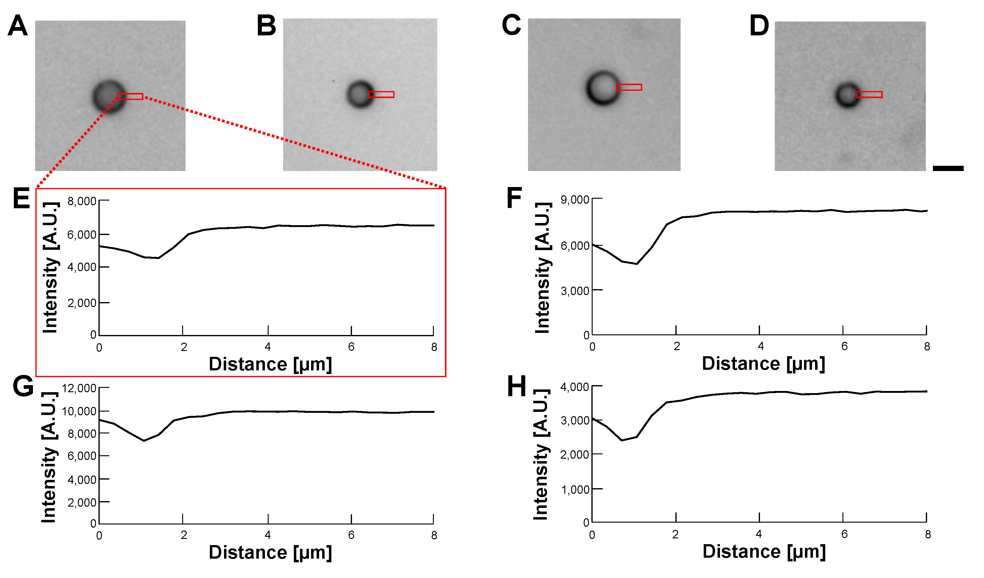 Micromachines 14 00072 g013