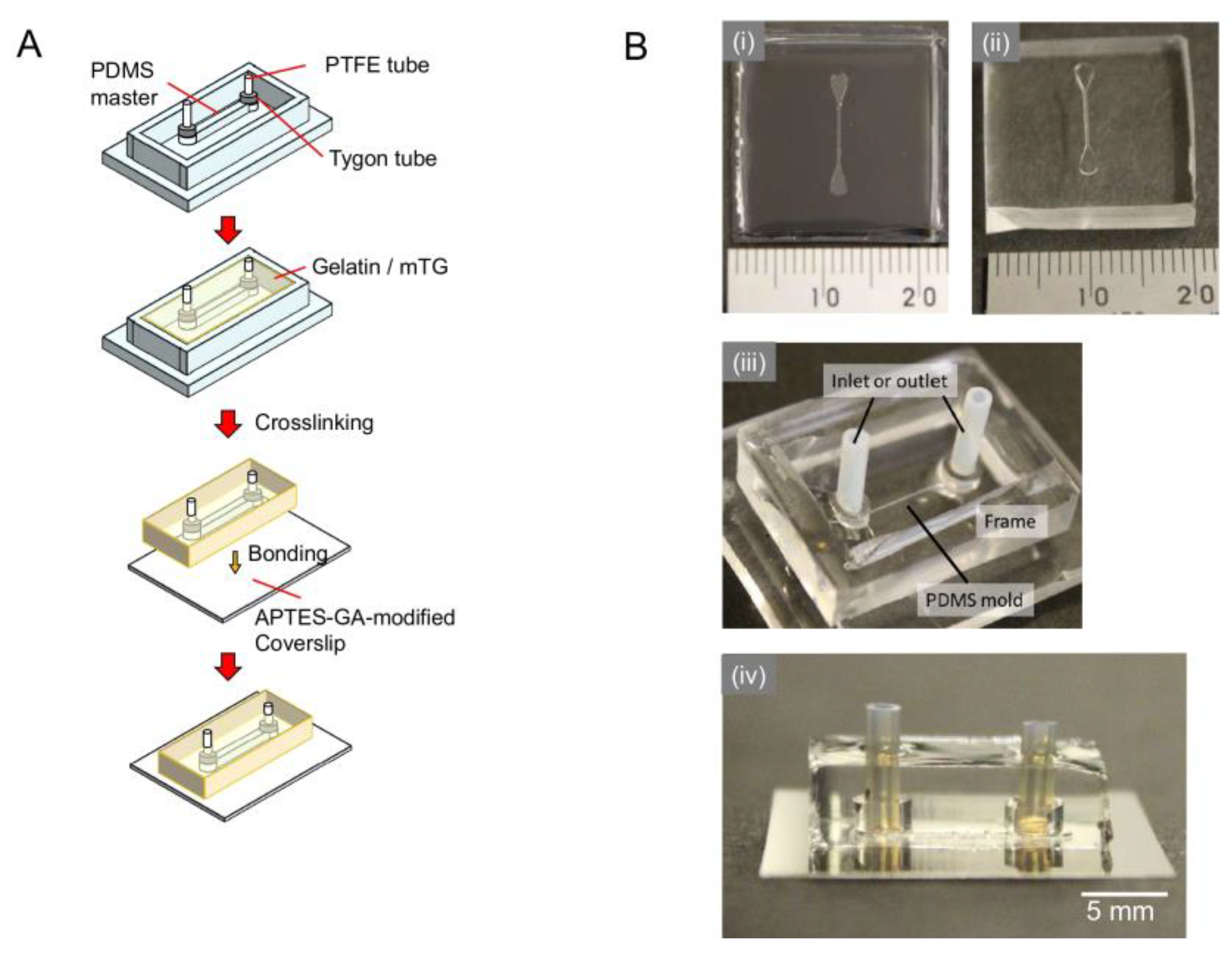 Micromachines 14 00107 g001