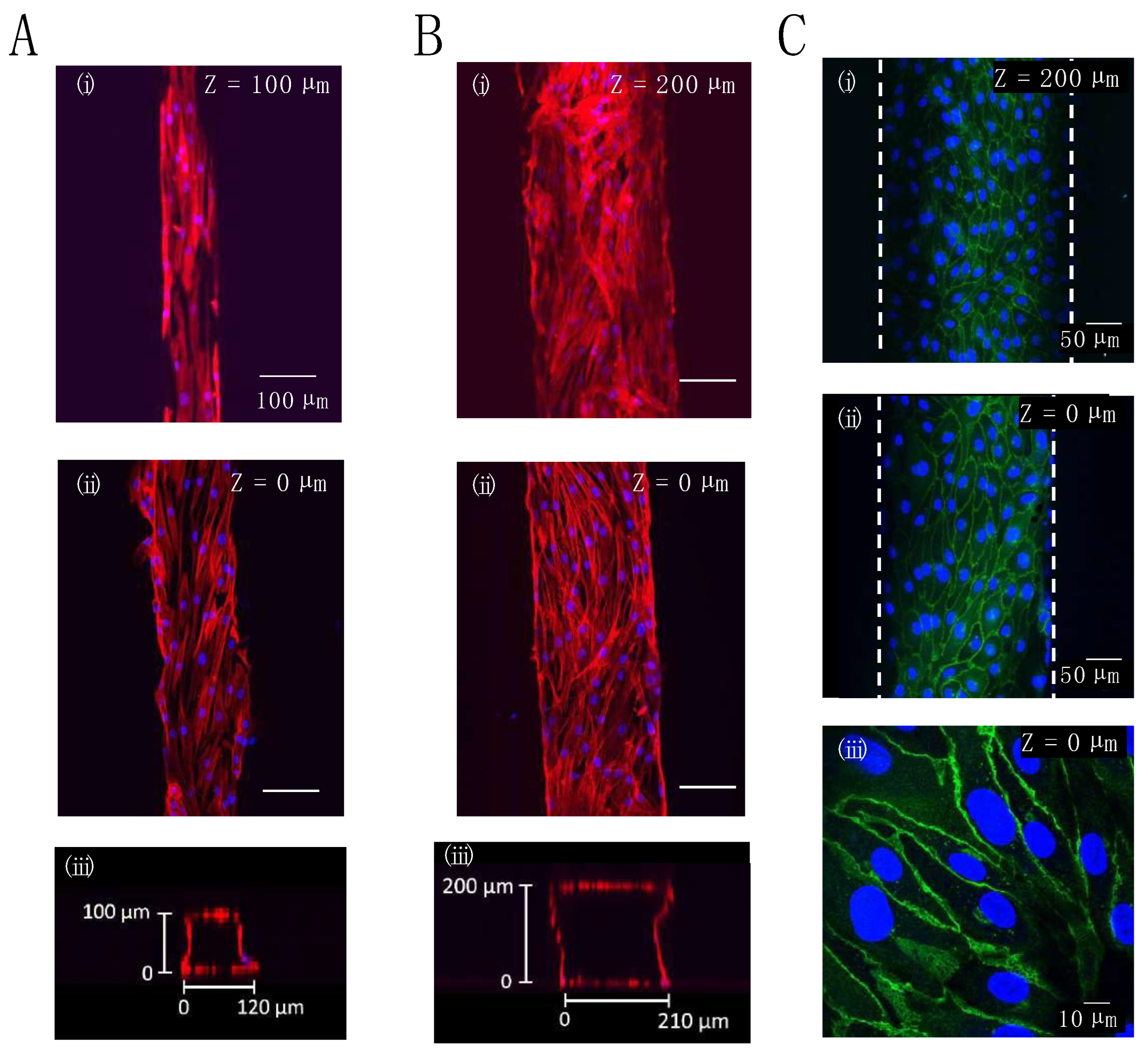 Micromachines 14 00107 g004