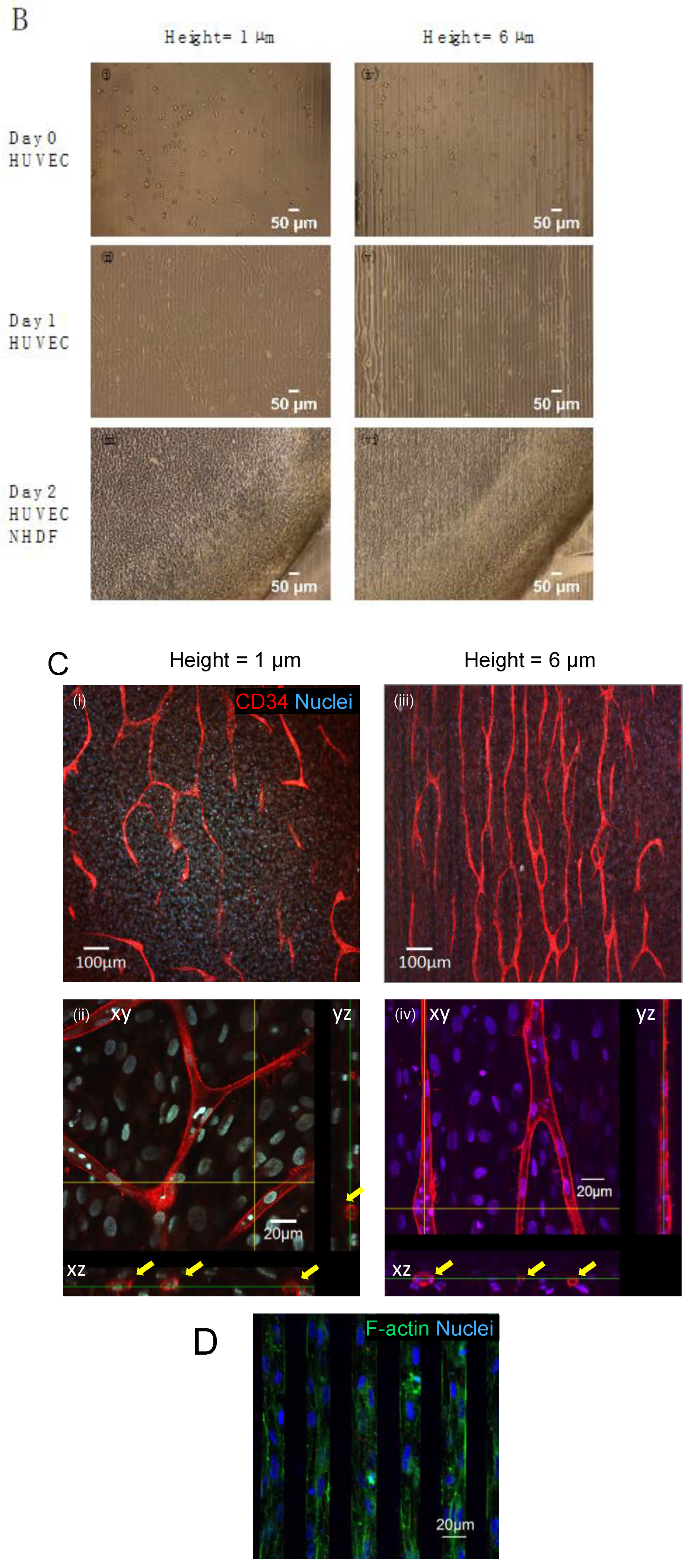 Micromachines 14 00107 g008b