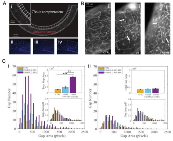 Micromachines 14 00112 g009
