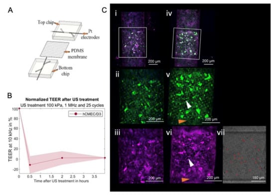 Micromachines 14 00112 g010