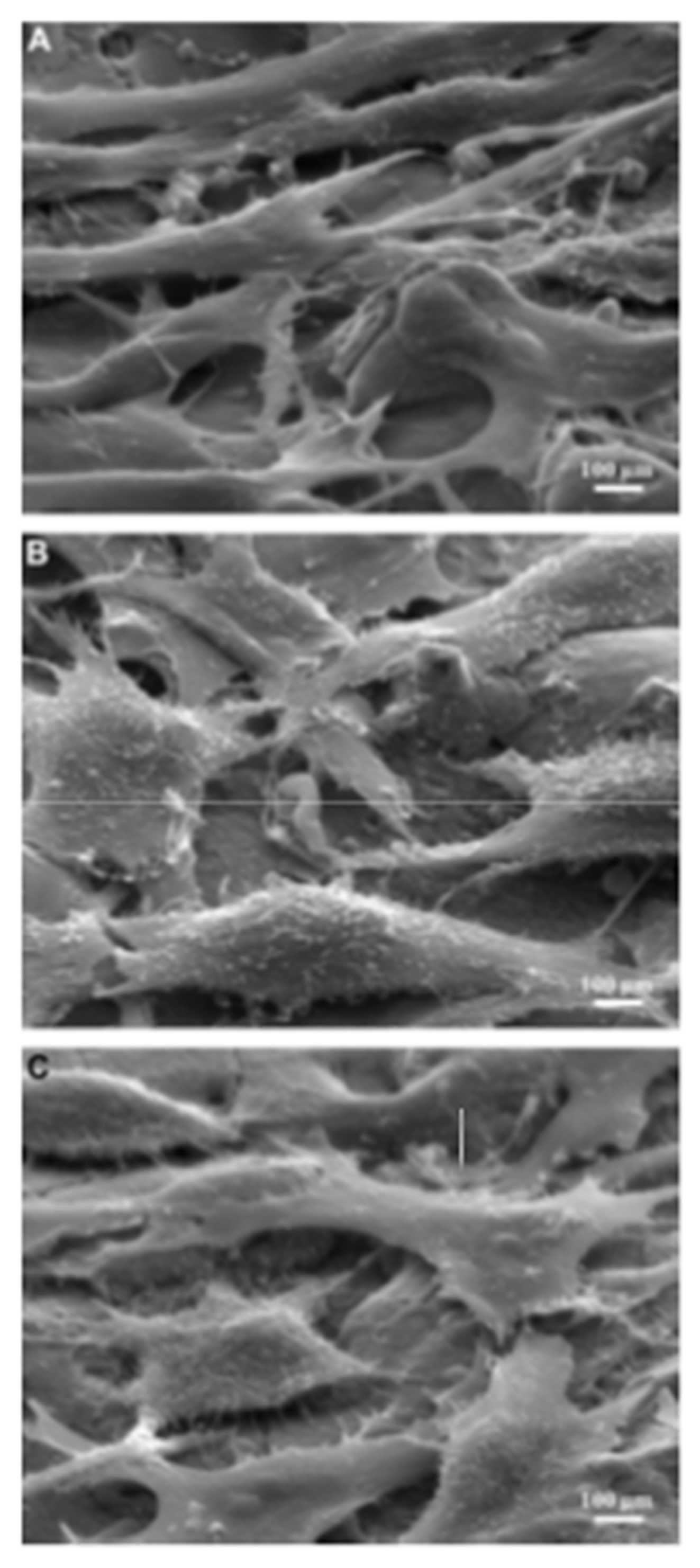 Micromachines 14 00115 g019 Micromachines 14 00115 g019