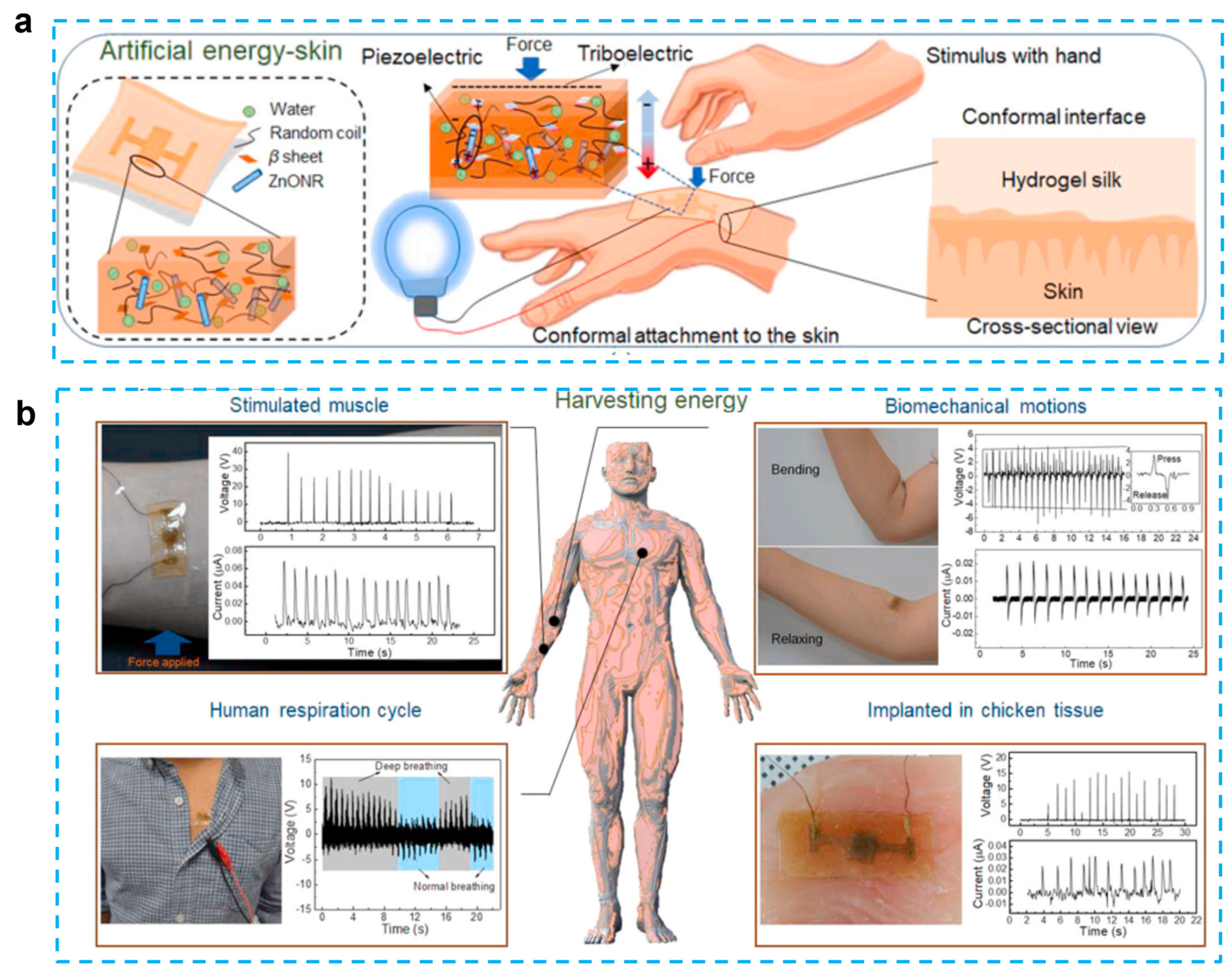 Micromachines 14 00167 g005