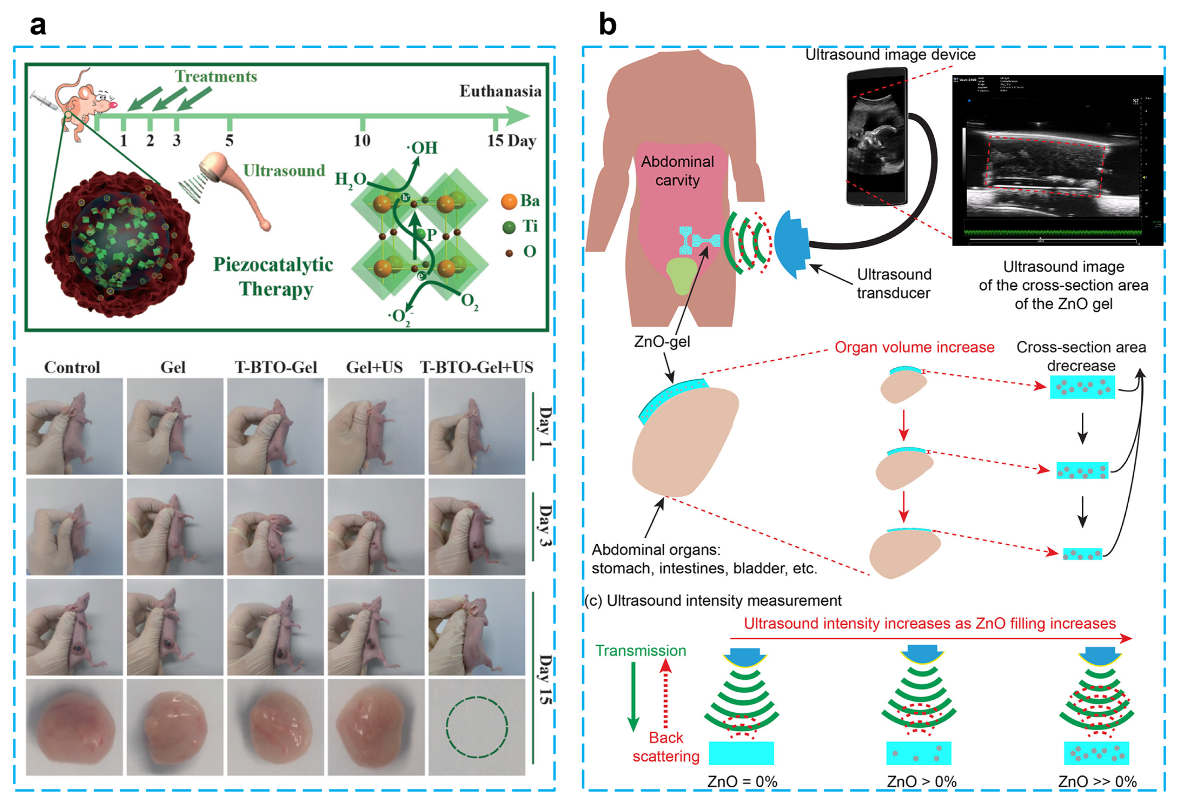 Micromachines 14 00167 g007