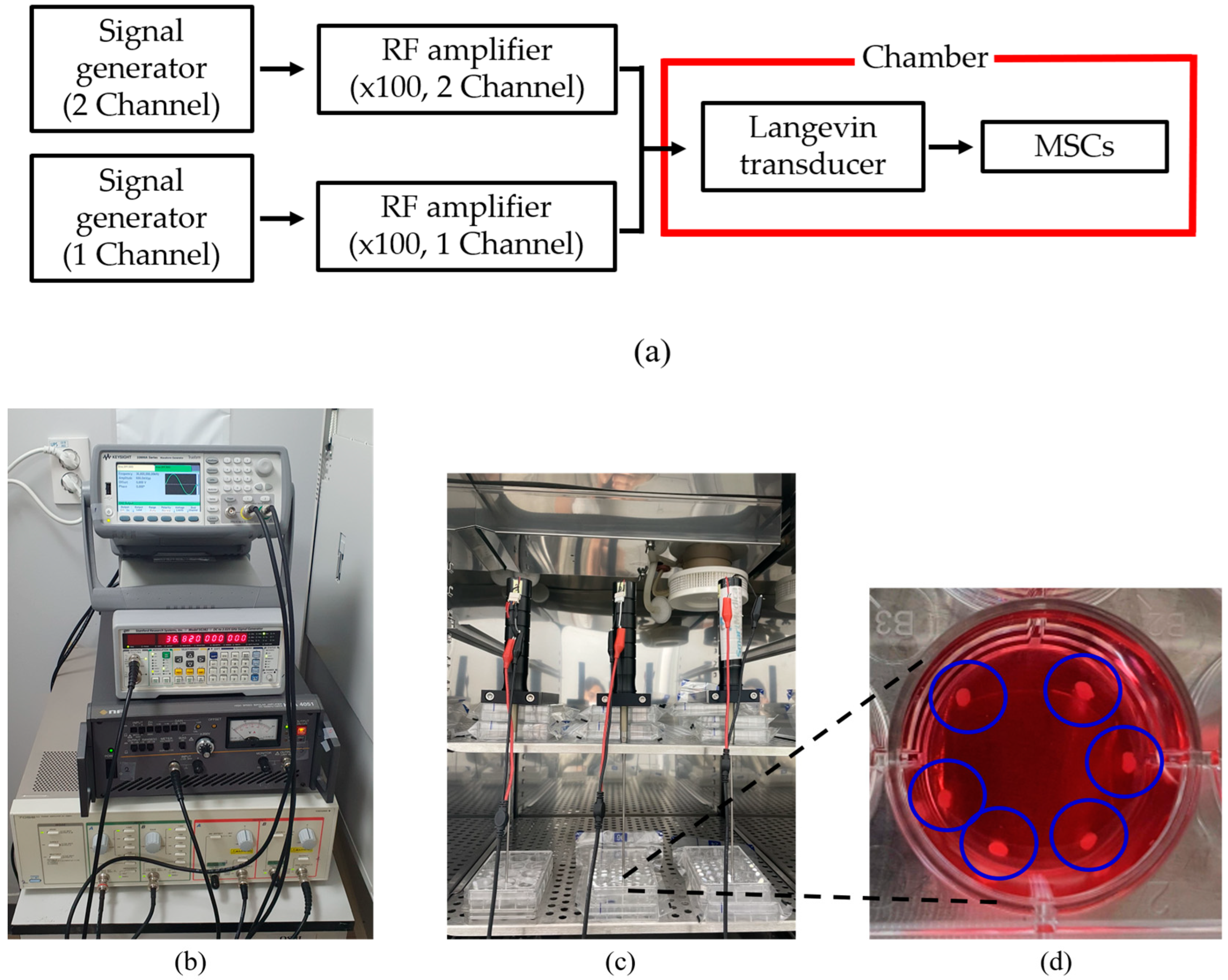 Micromachines 14 00202 g004