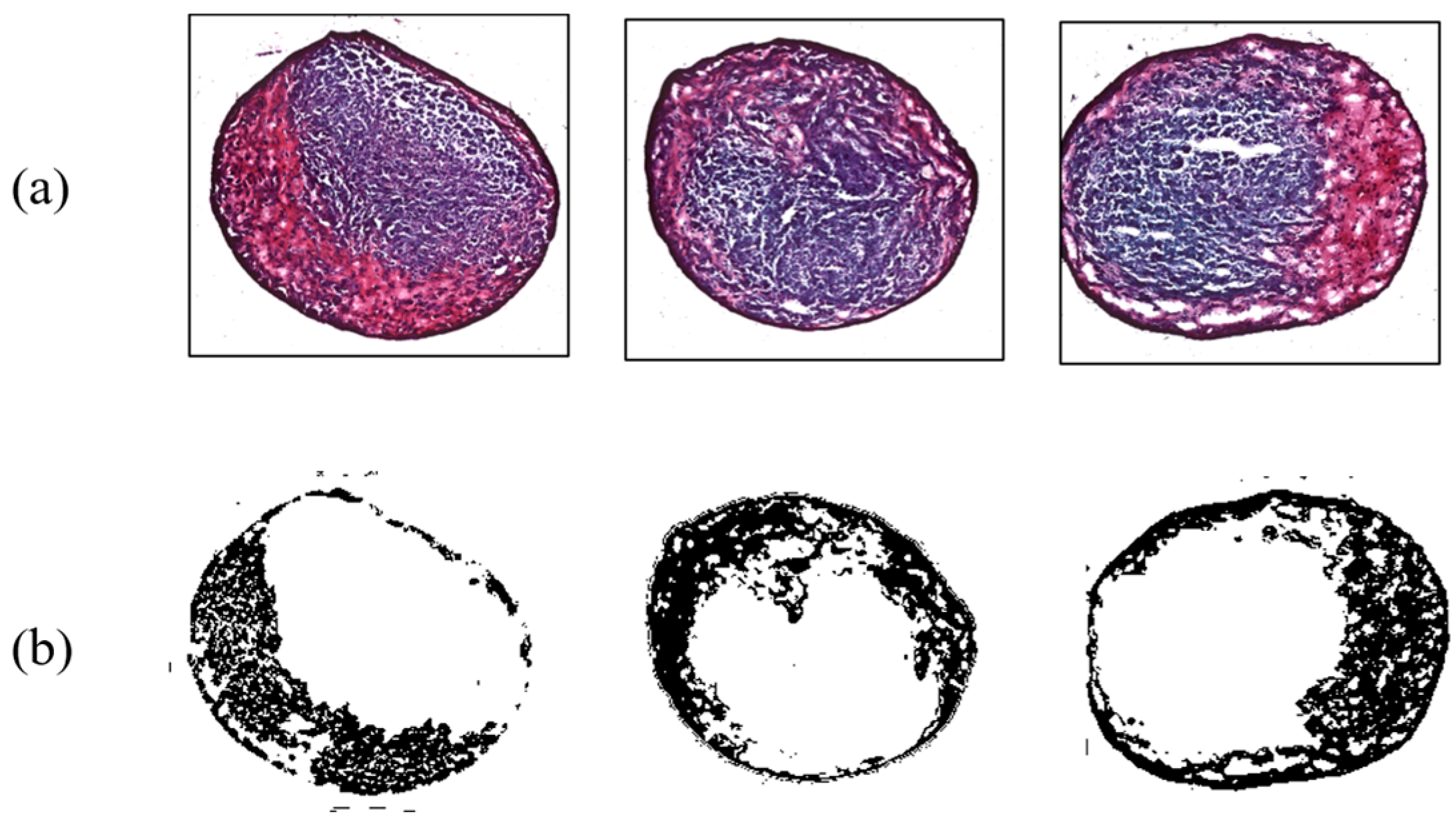 Micromachines 14 00202 g007