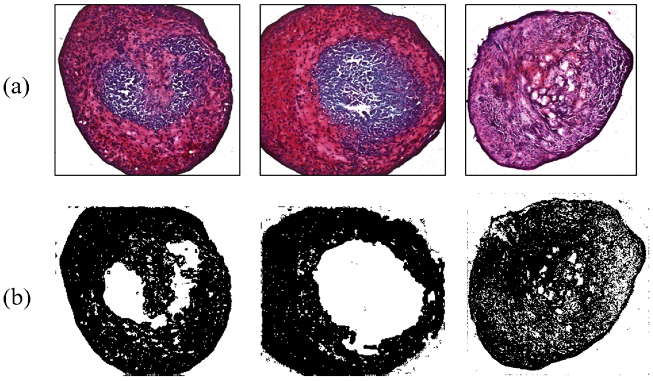 Micromachines 14 00202 g009