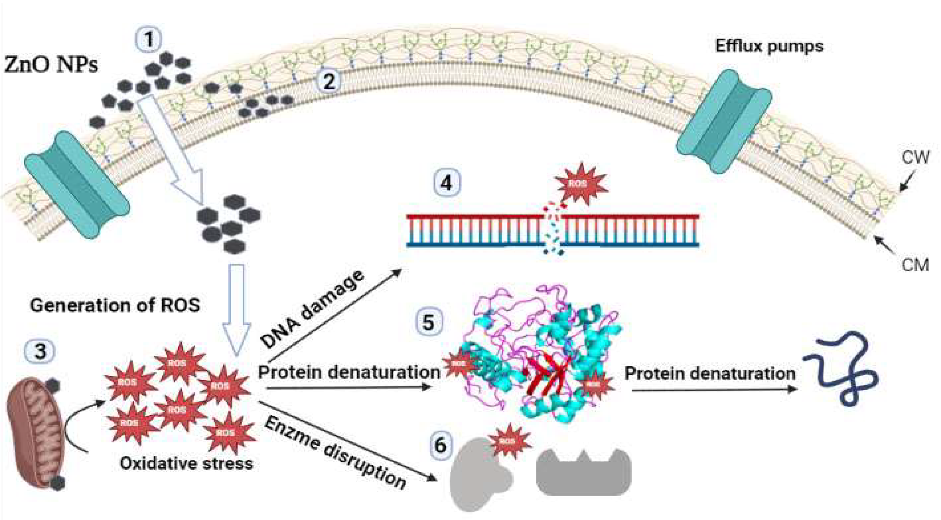 Micromachines 14 00209 g012