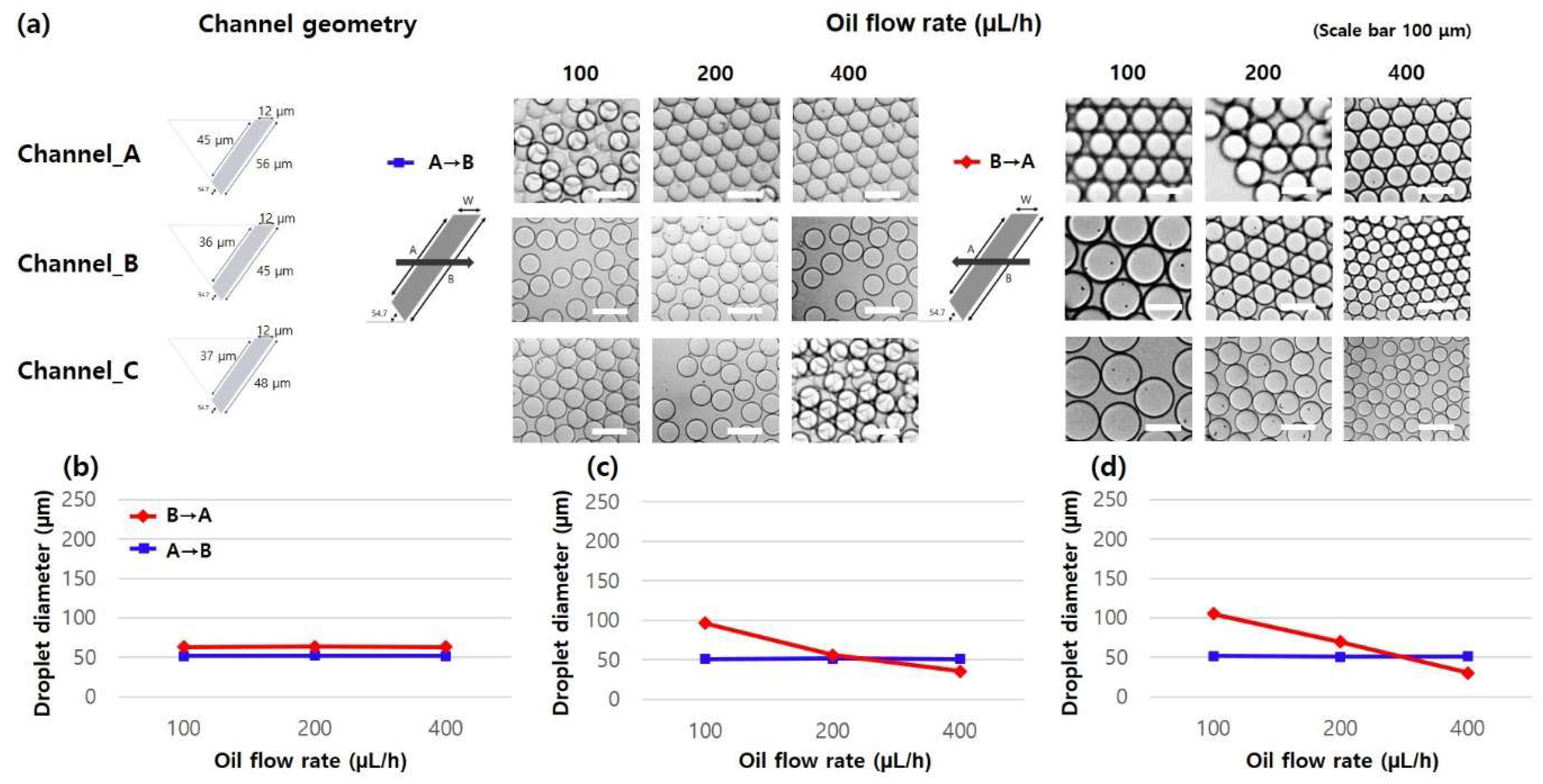 Micromachines 14 00223 g006