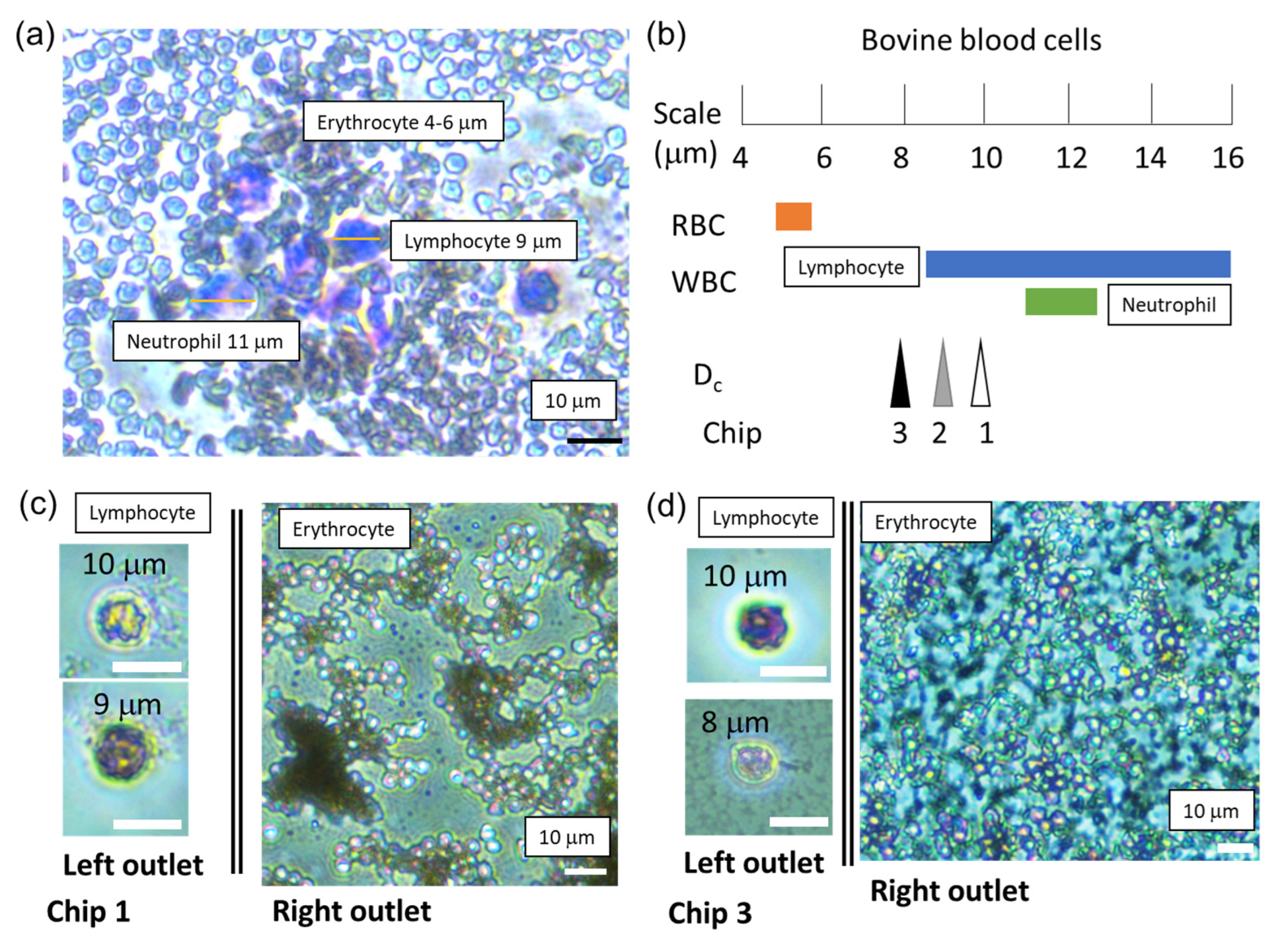 Micromachines 14 00238 g005