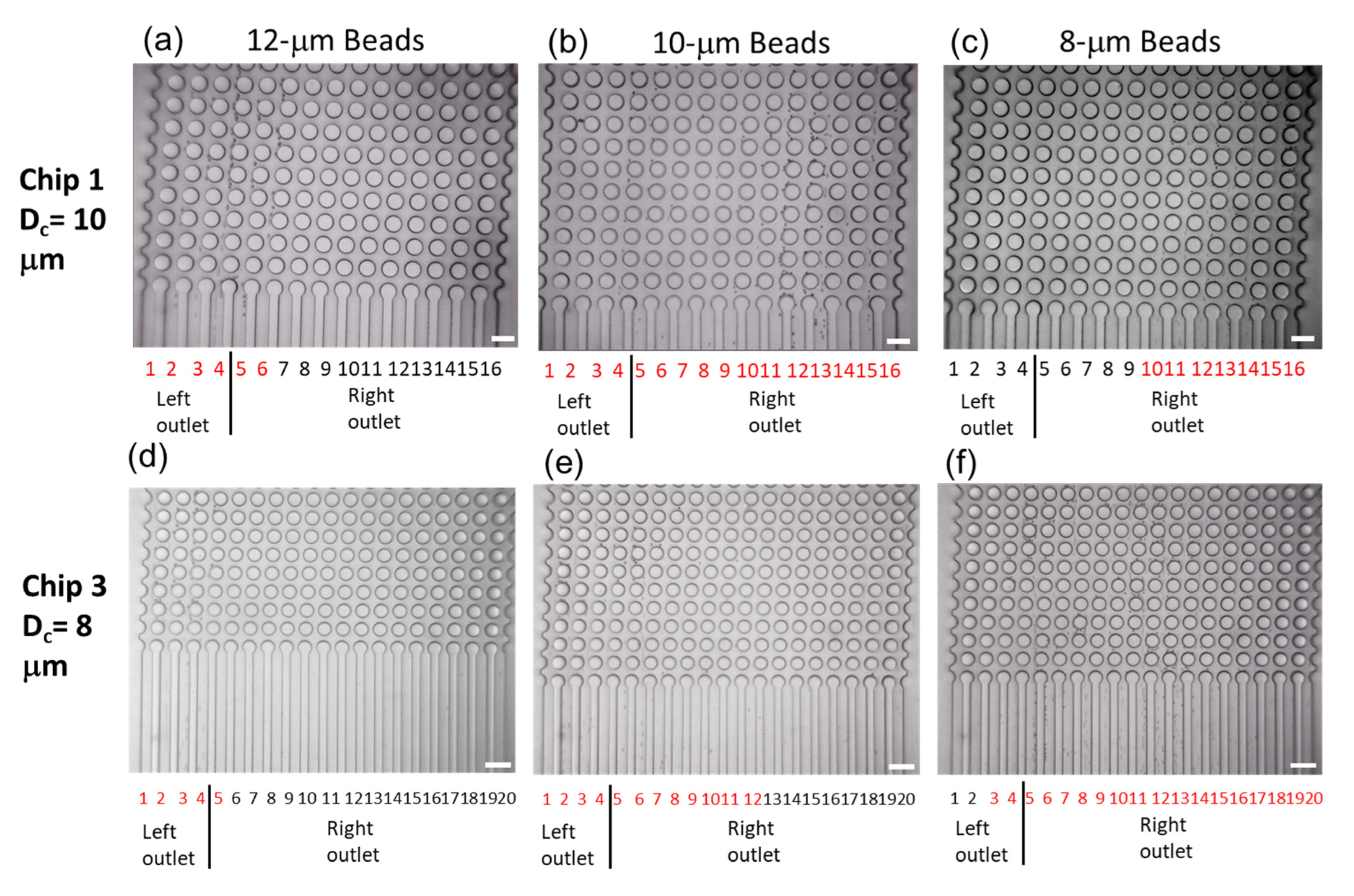 Micromachines 14 00238 g007